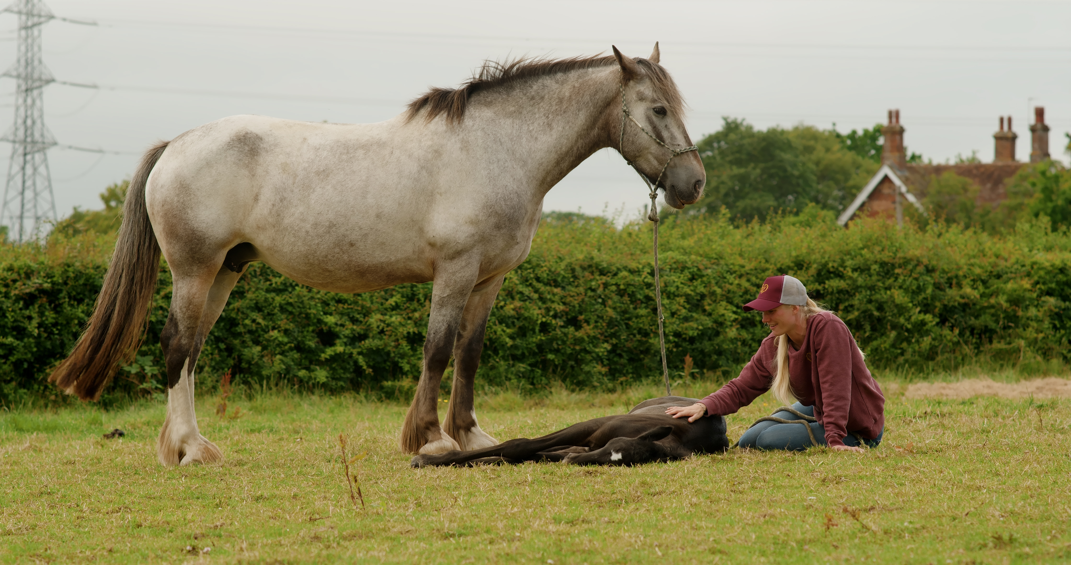 UNDEMANDING TIME WITH FOALS
