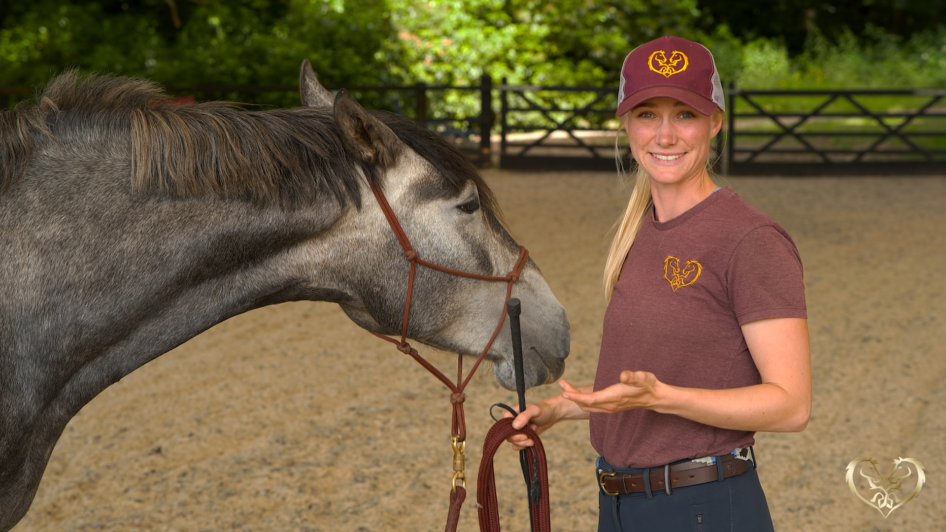 DRIVING PRESSURE - HOW HORSES COMMUNICATE