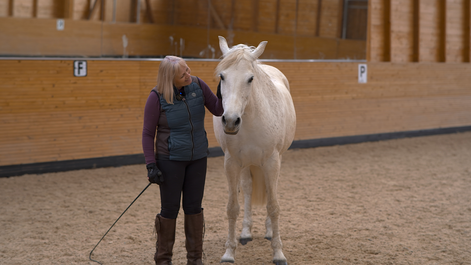 WORKING ON DISCONNECT WITH AN EXTROVERTED HORSE
