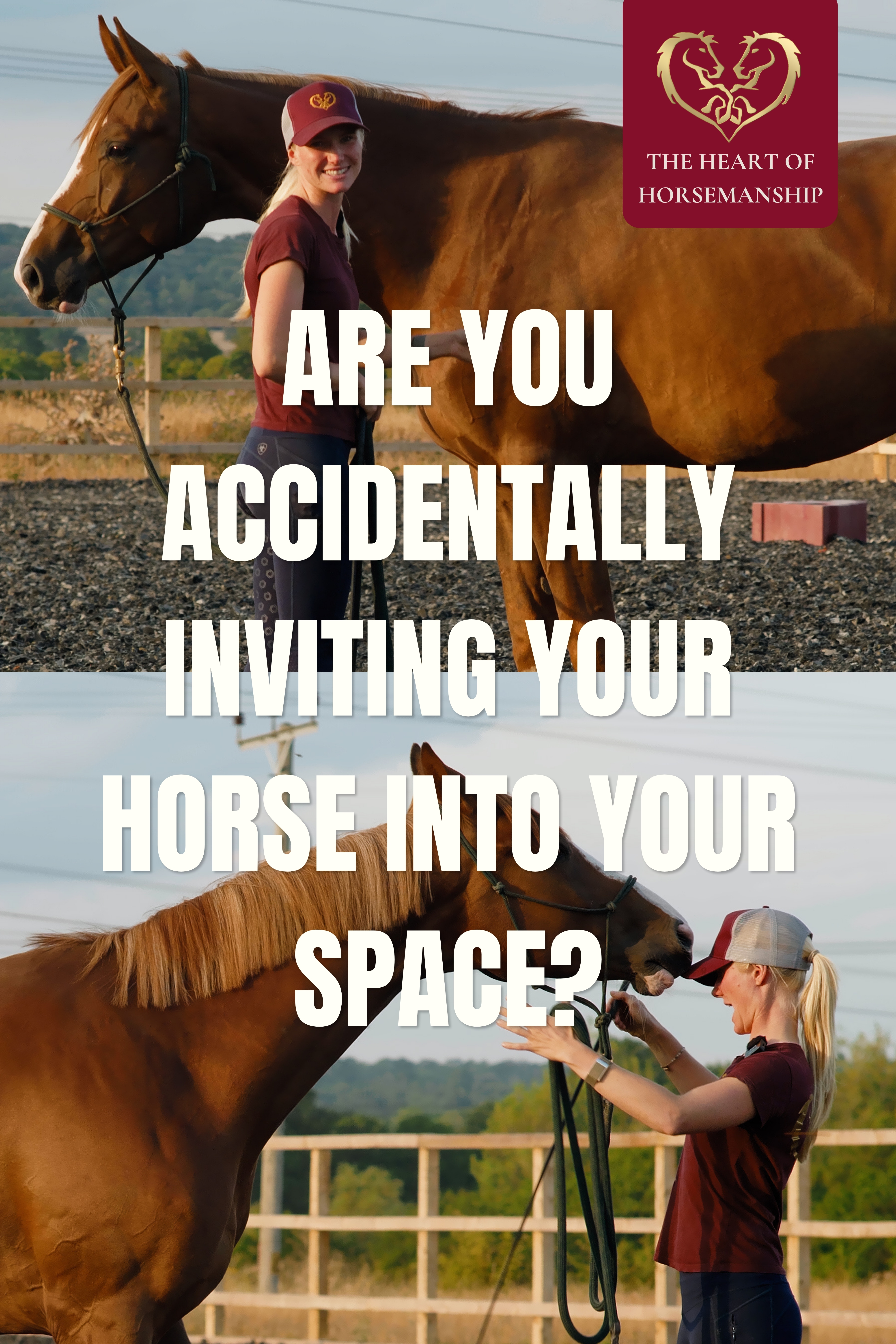 ARE YOU ACCIDENTALLY INVITING YOUR HORSE INTO YOUR SPACE?