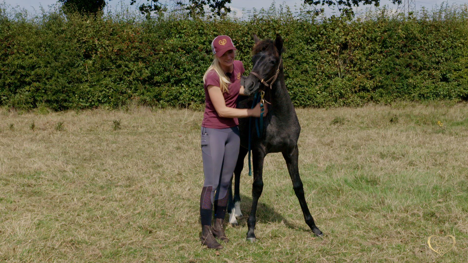 UNDERSTANDING STEADY PRESSURE