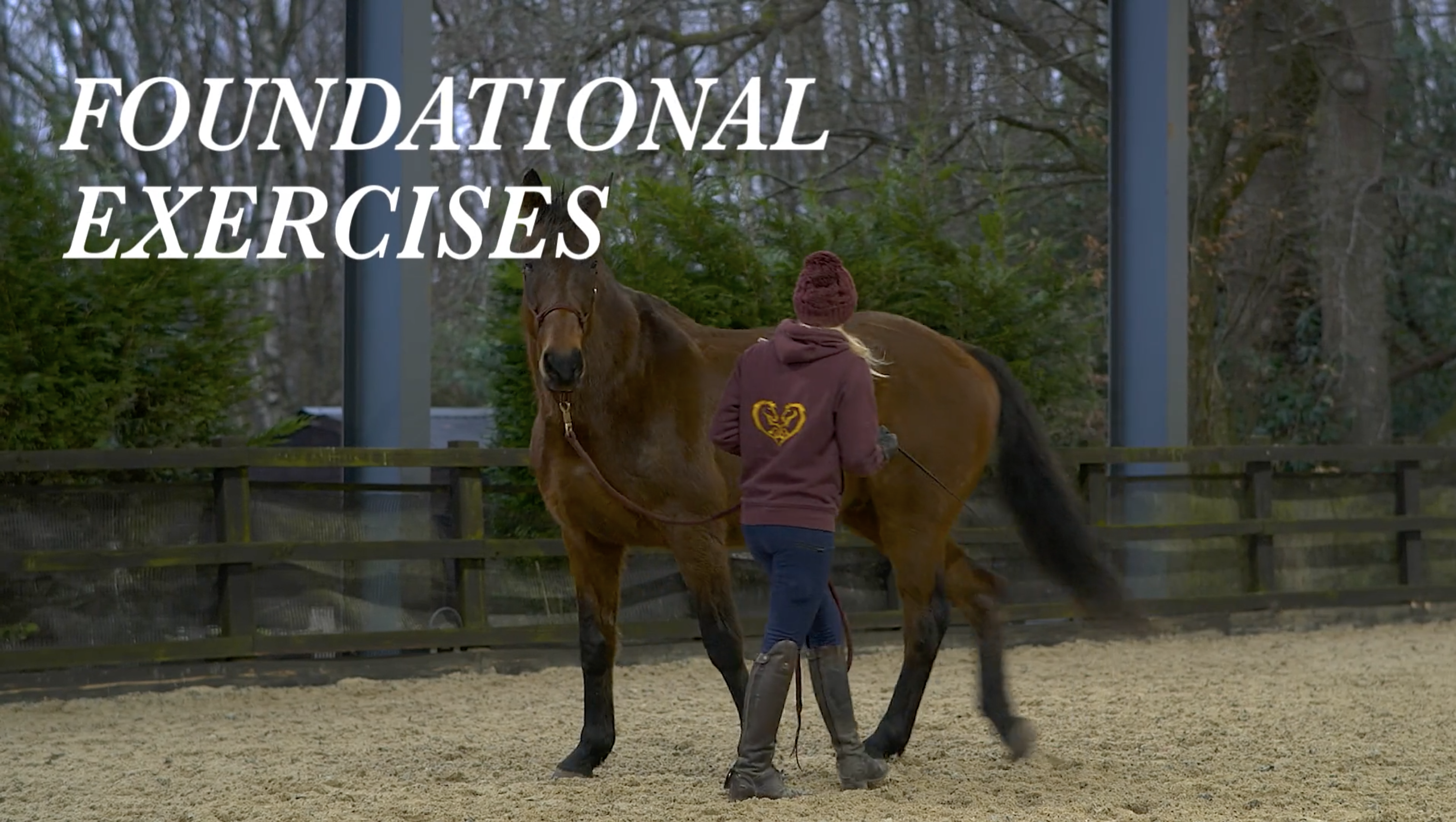 Foundational Exercises