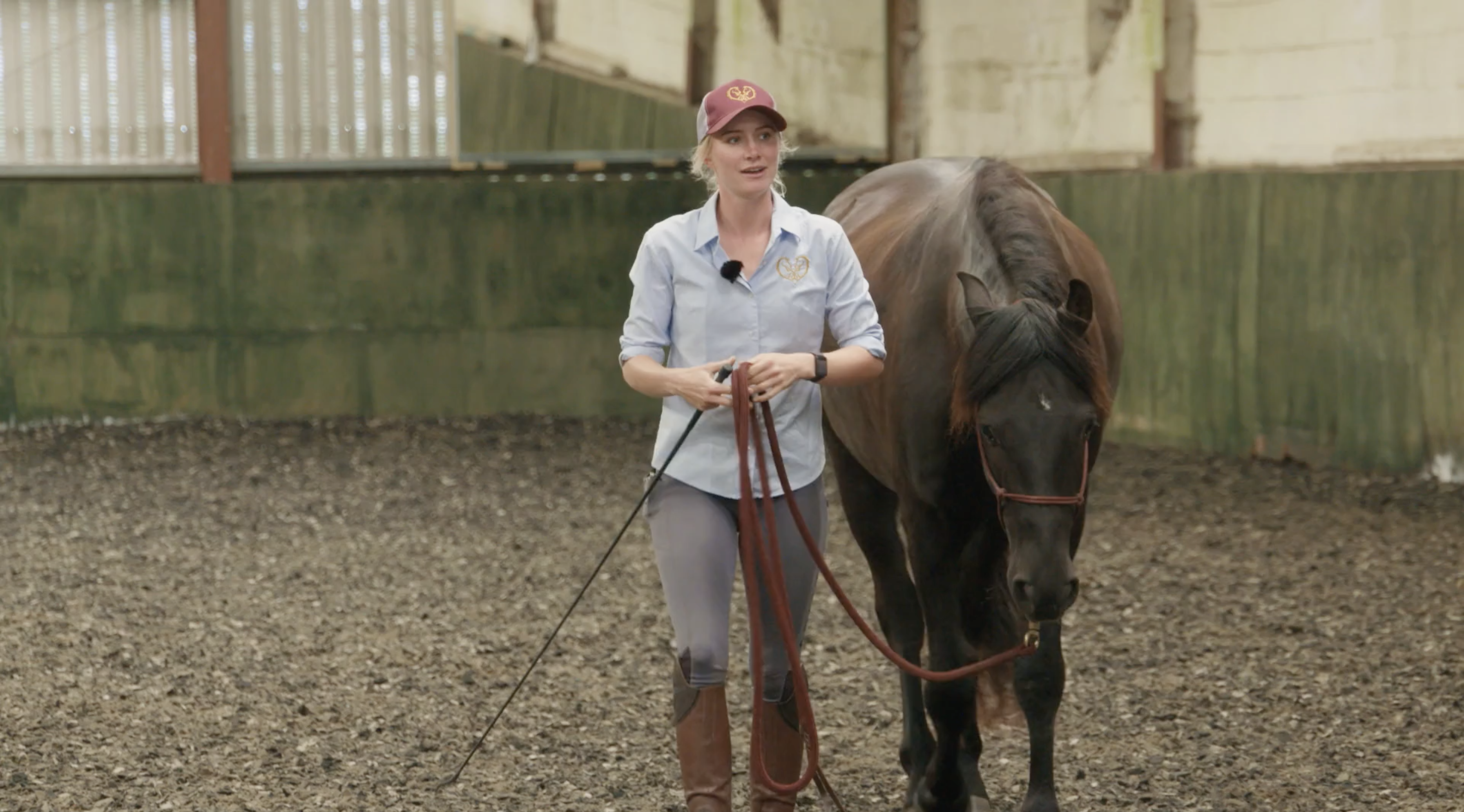 WARMING UP AN INTROVERTED HORSE