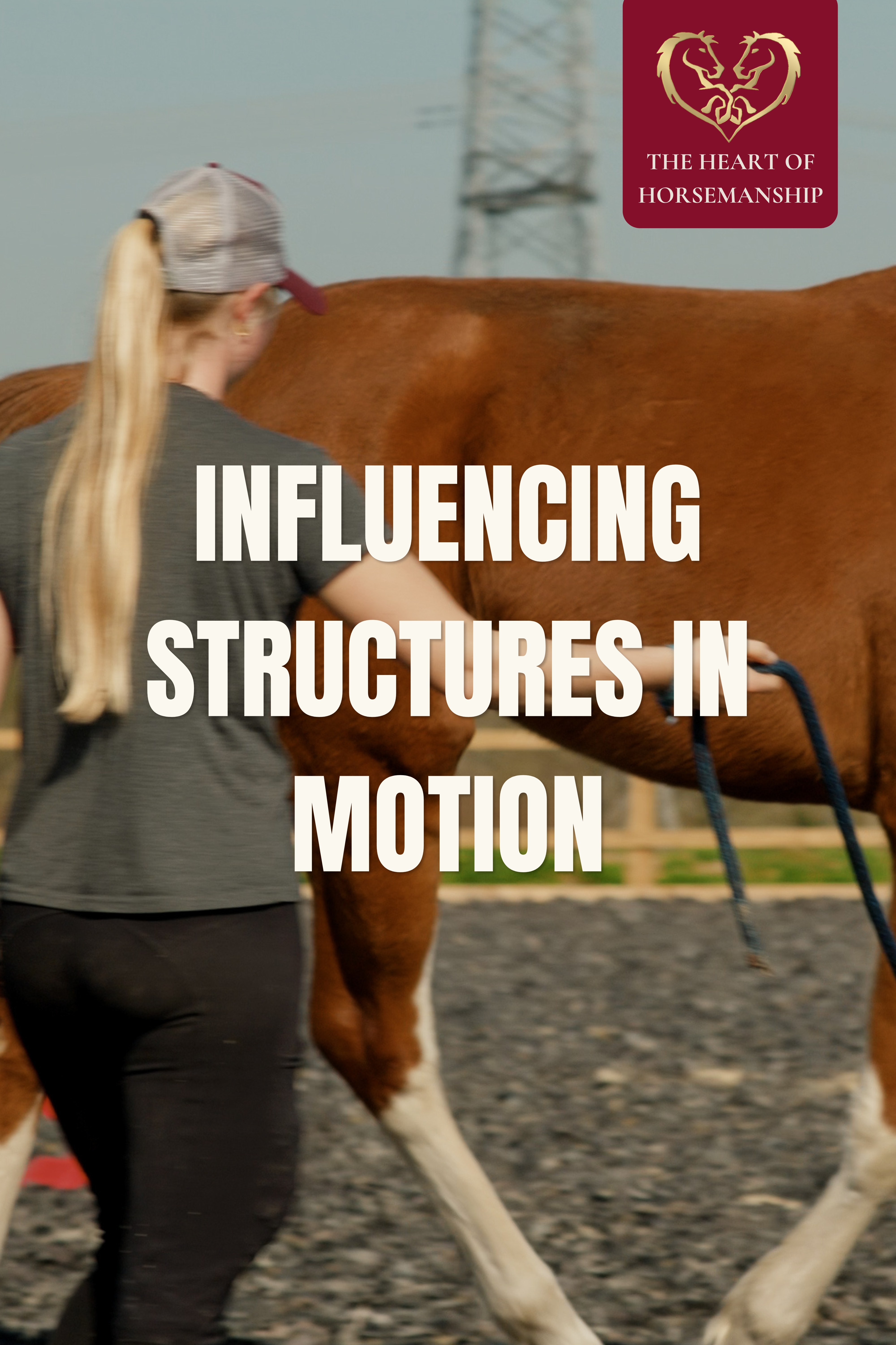 INFLUENCING STRUCTURES IN MOTION