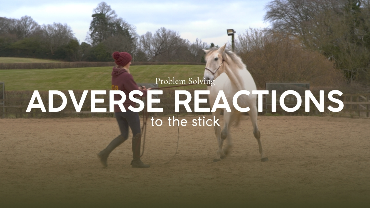 ADVERSE REACTIONS TO THE STICK
