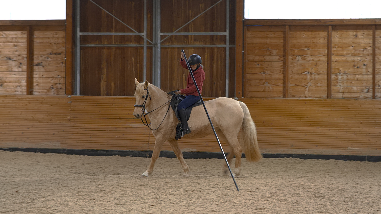 INTRODUCTION TO THE GARROCHA