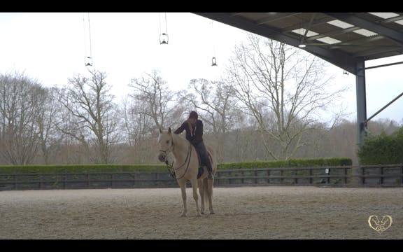 BRIDLELESS STOPS