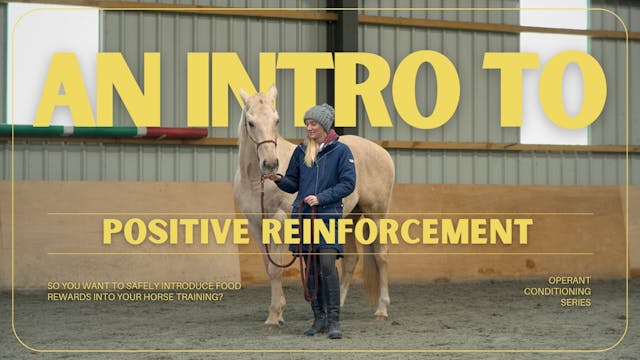 AN INTRO TO POSITIVE REINFORCEMENT