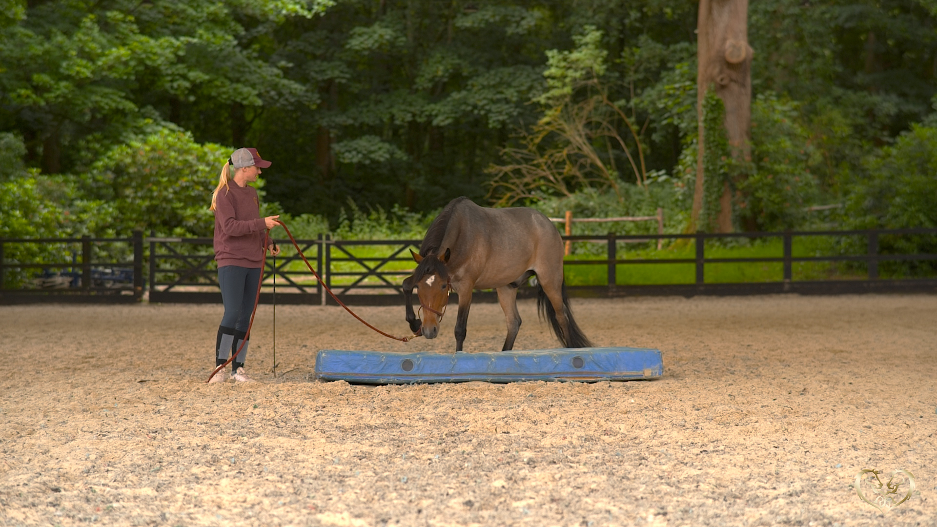 INTRODUCING THE CRASH MAT