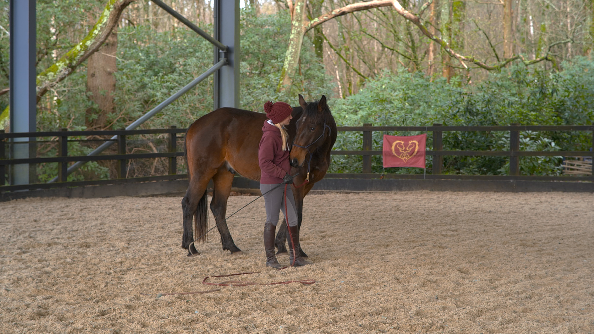 FINDING CONNECTION AND RELAXATION WITH A YOUNG HORSE