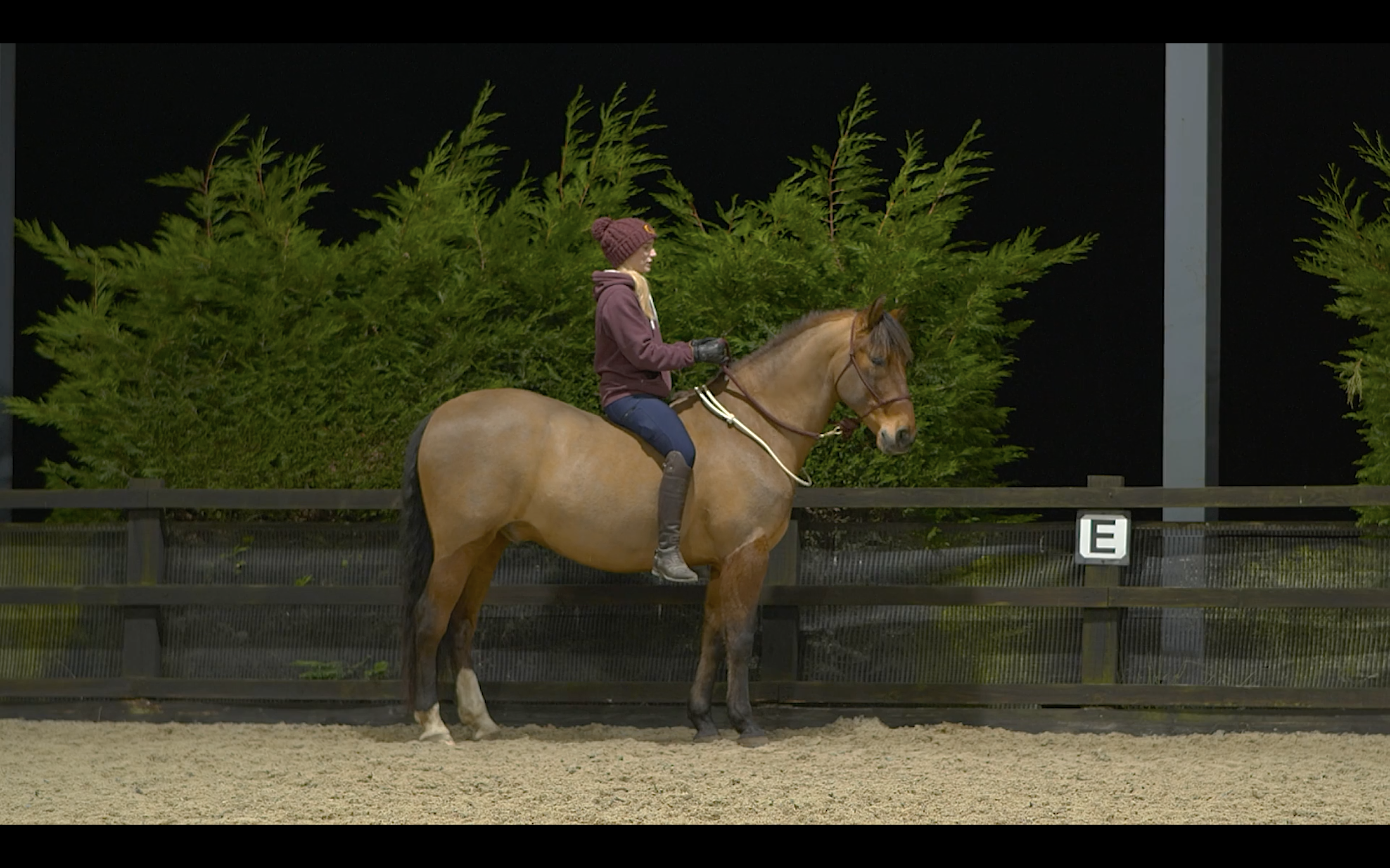 INTRODUCING THE NECKROPE