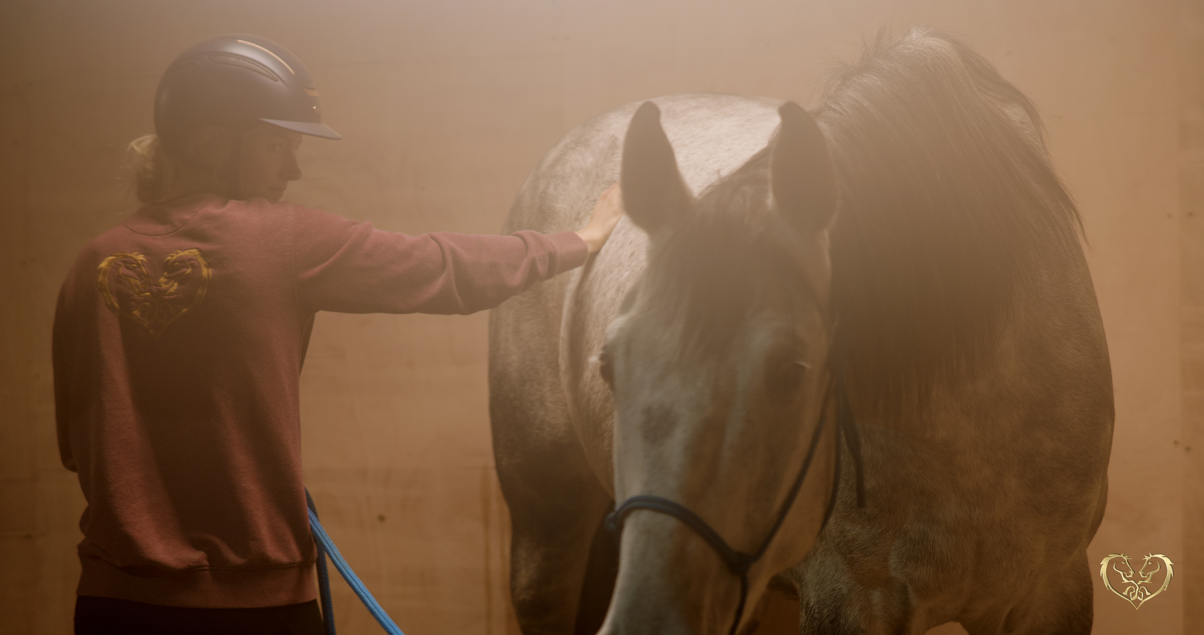 SHARING SPACE IN THE STABLE - OVER AROUSAL