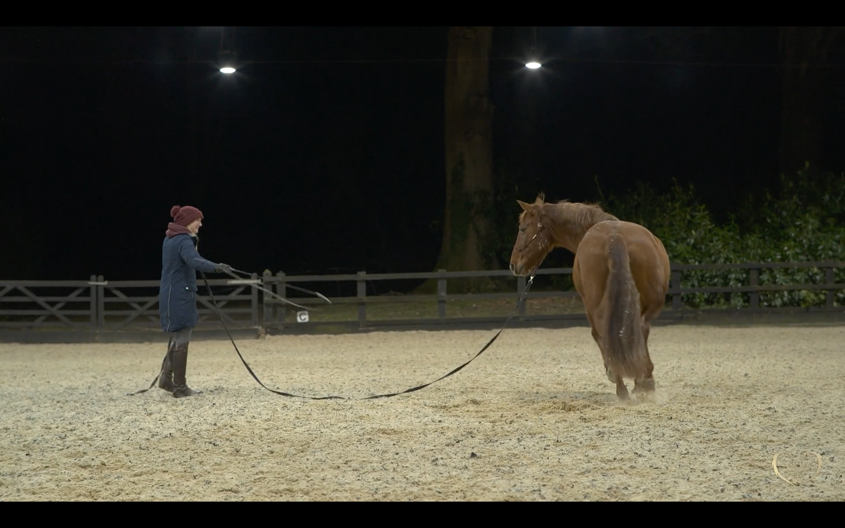 REPROGRAMMING MOVEMENT PATTERNS