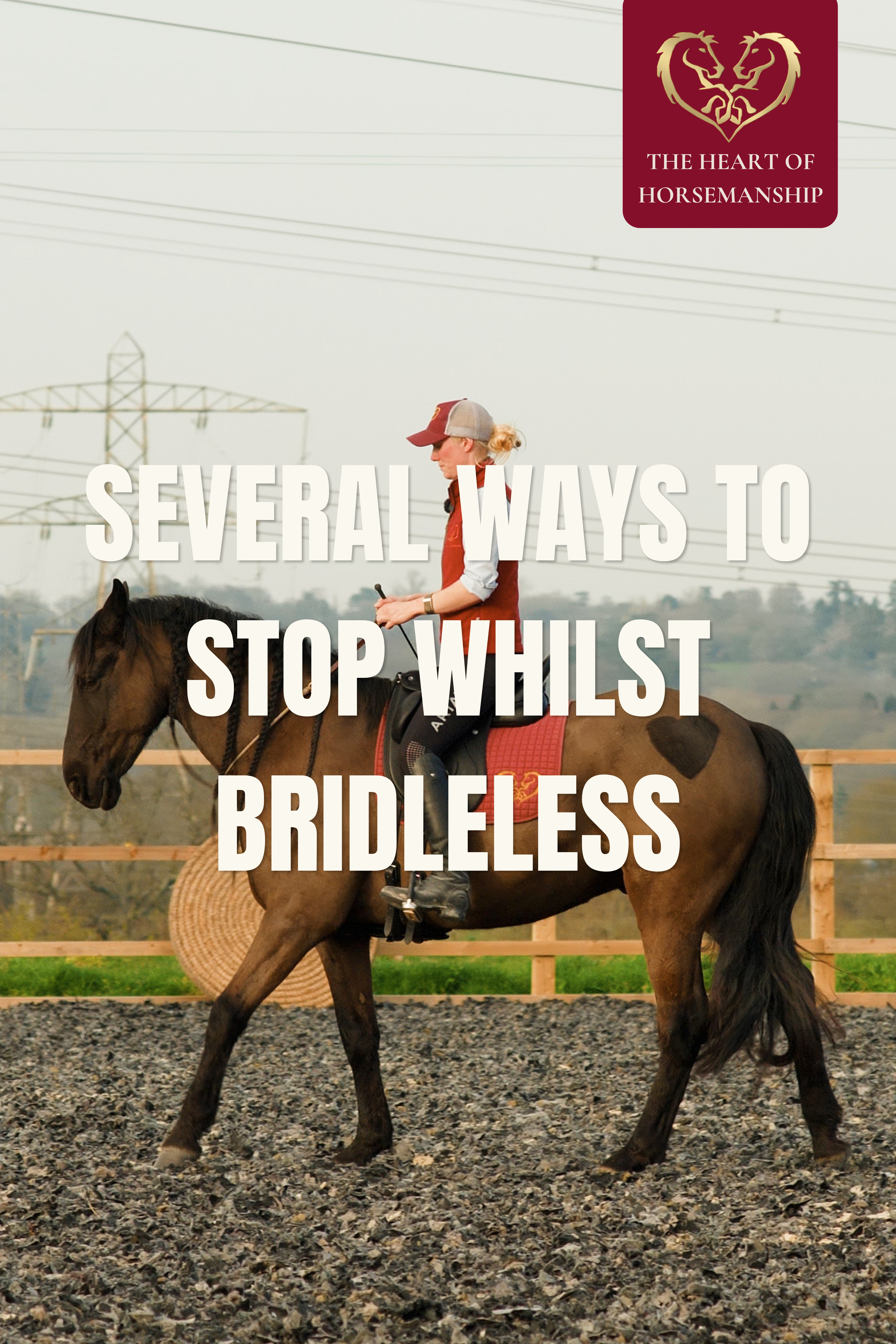 SEVERAL WAYS TO STOP WHILST BRIDLELESS