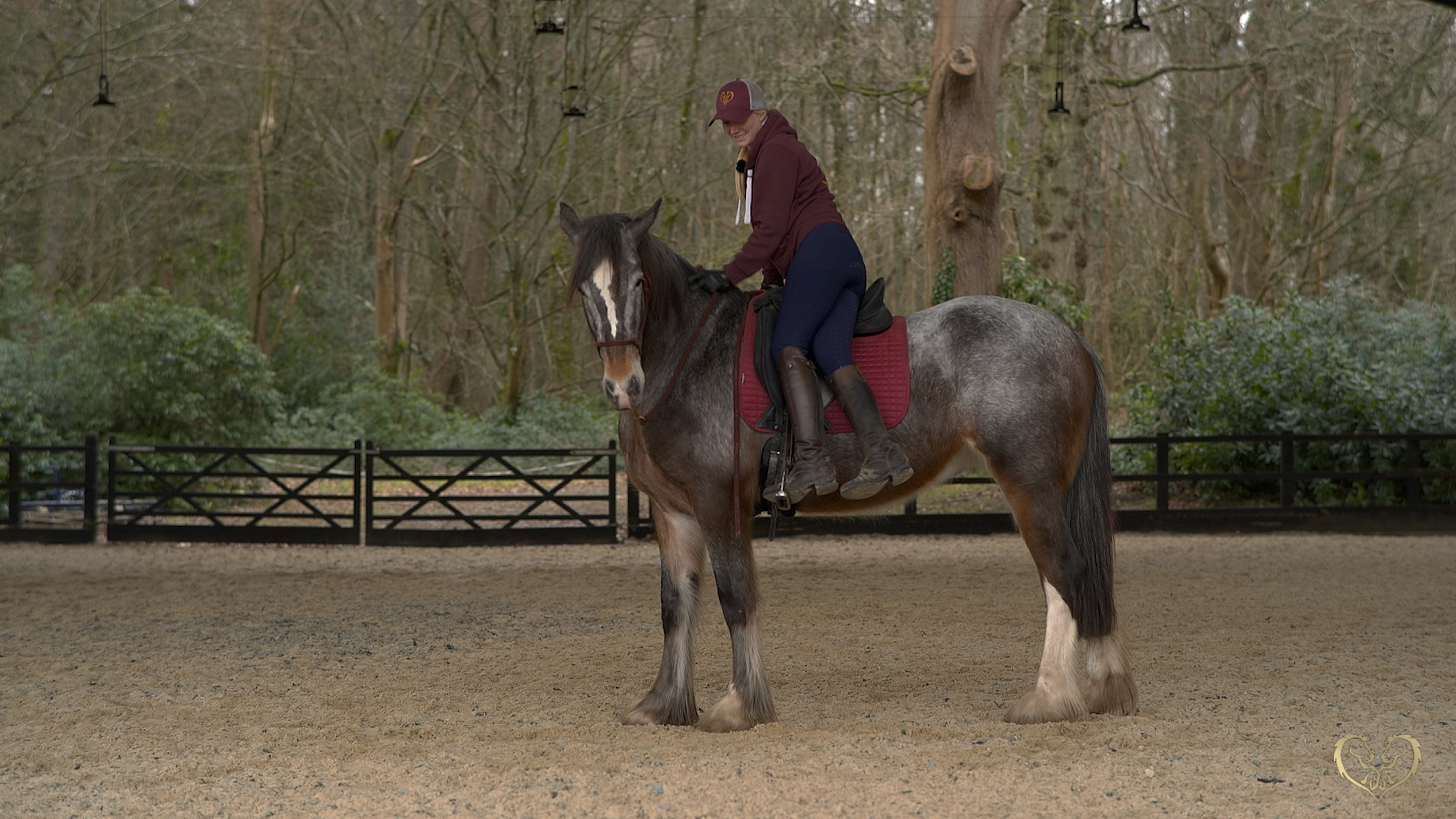 Starting young horses