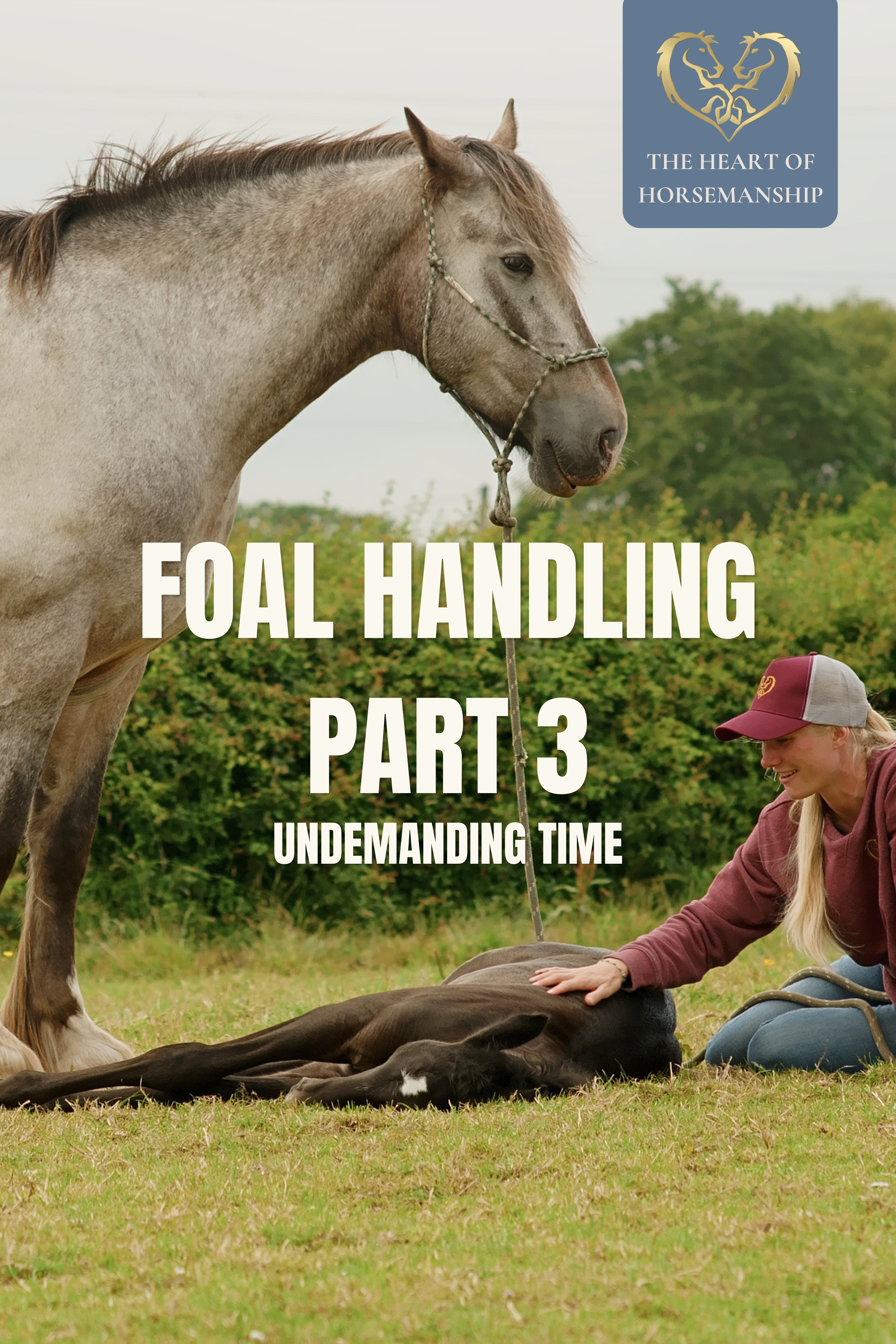 UNDEMANDING TIME WITH FOALS