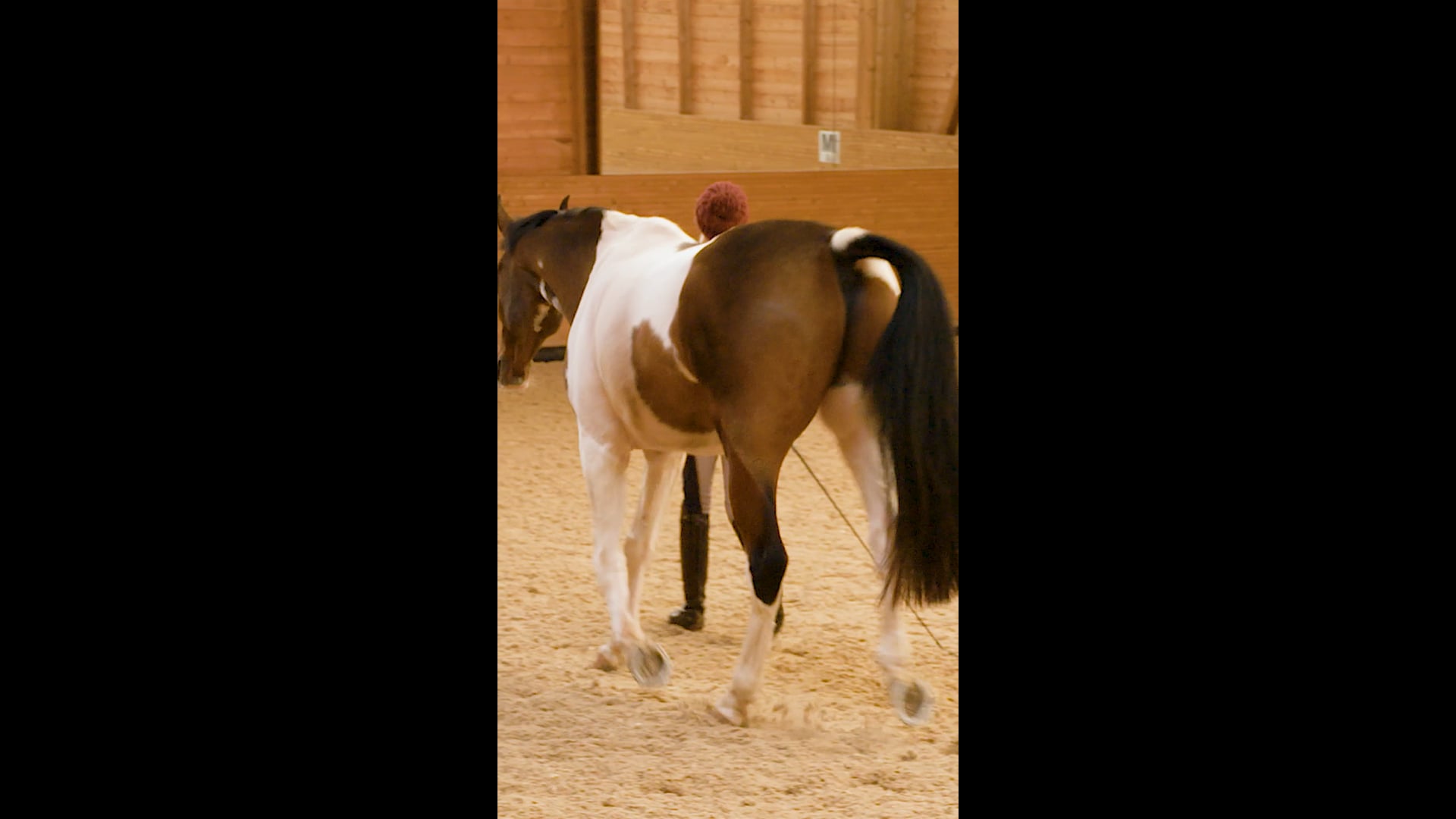 MIRROR ME DEMONSTRATION