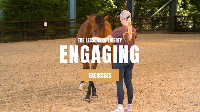 DEVELOPING A FRAME AT LIBERTY