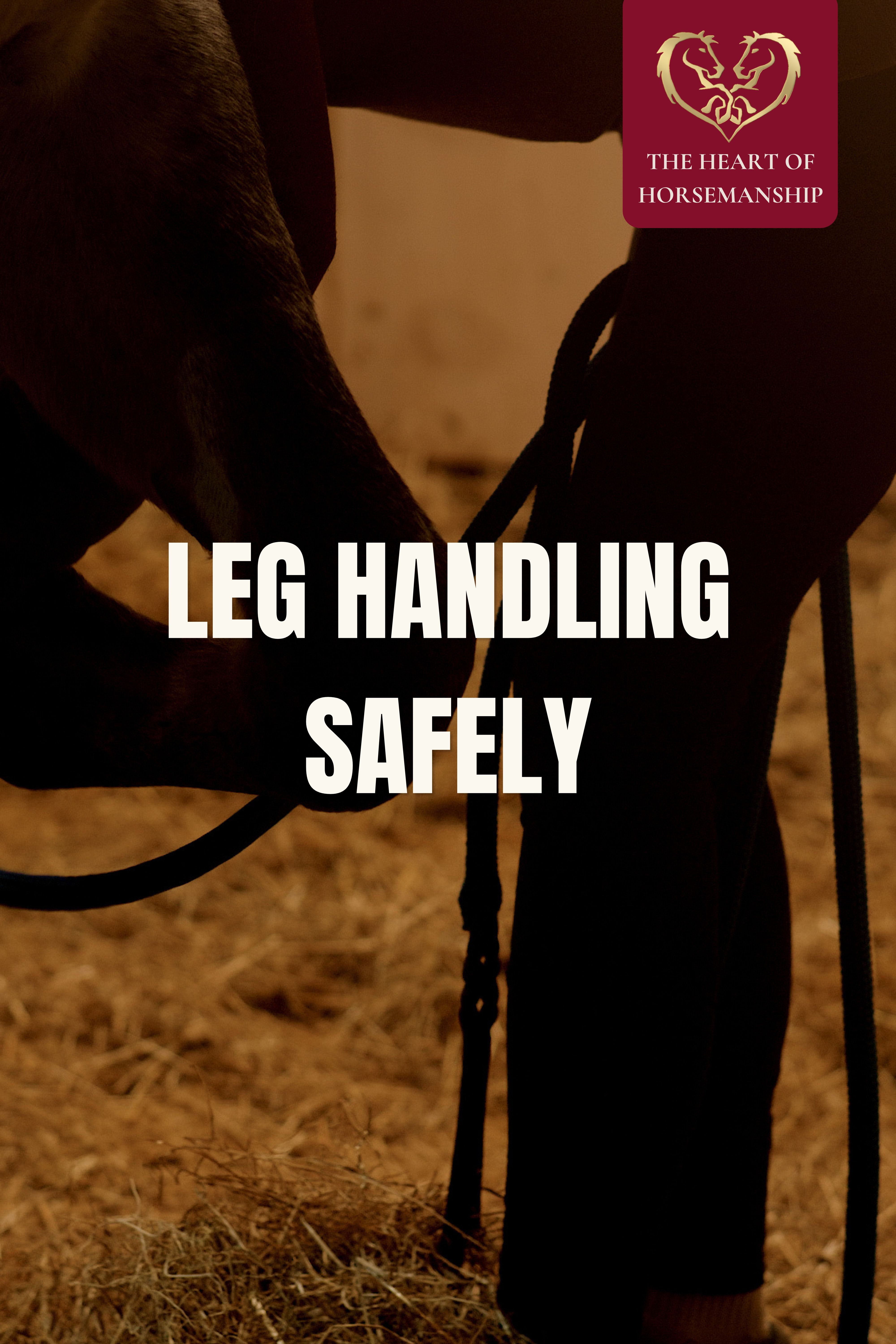 LEG HANDLING SAFELY