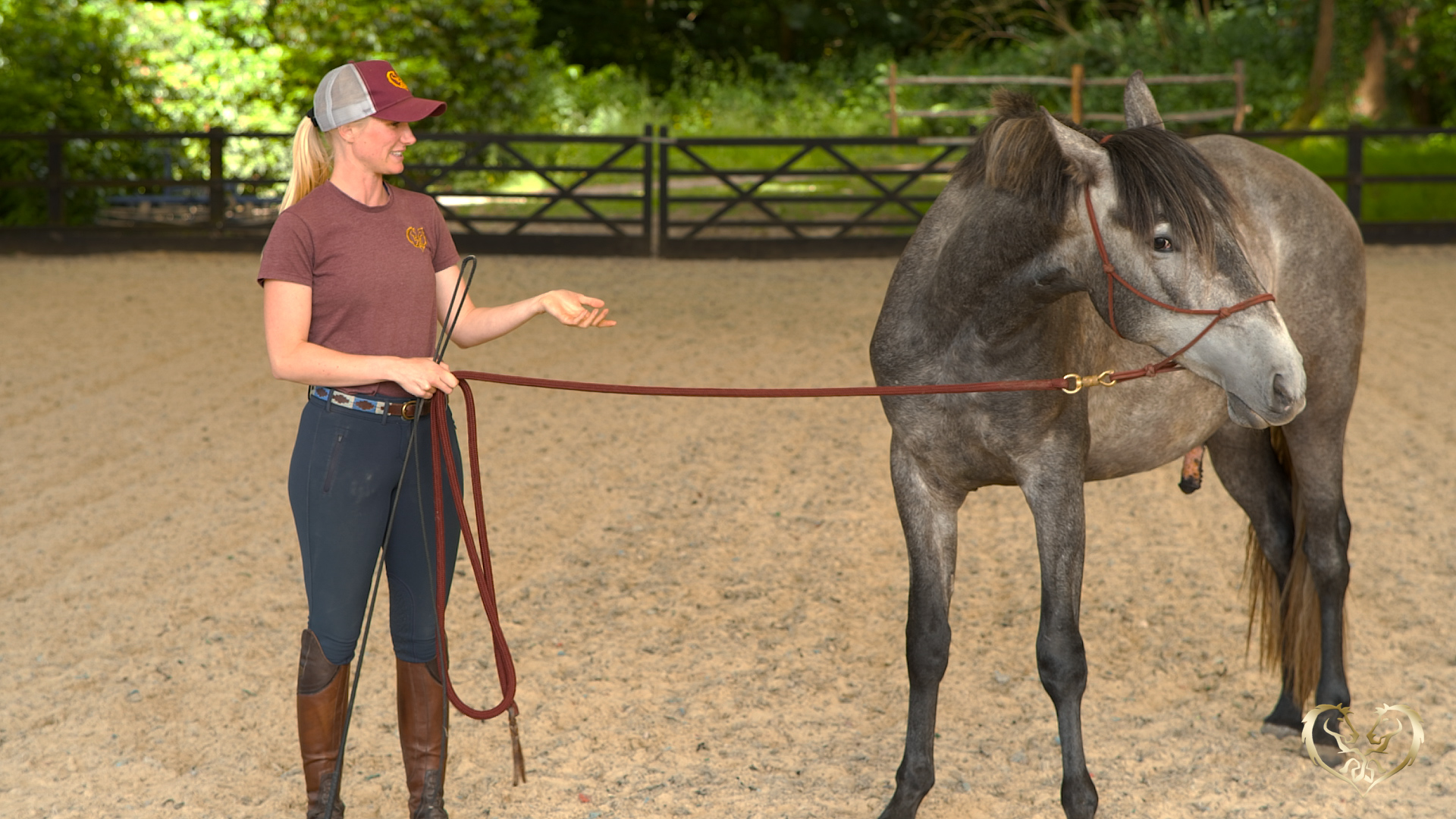 DROPPING DURING TRAINING