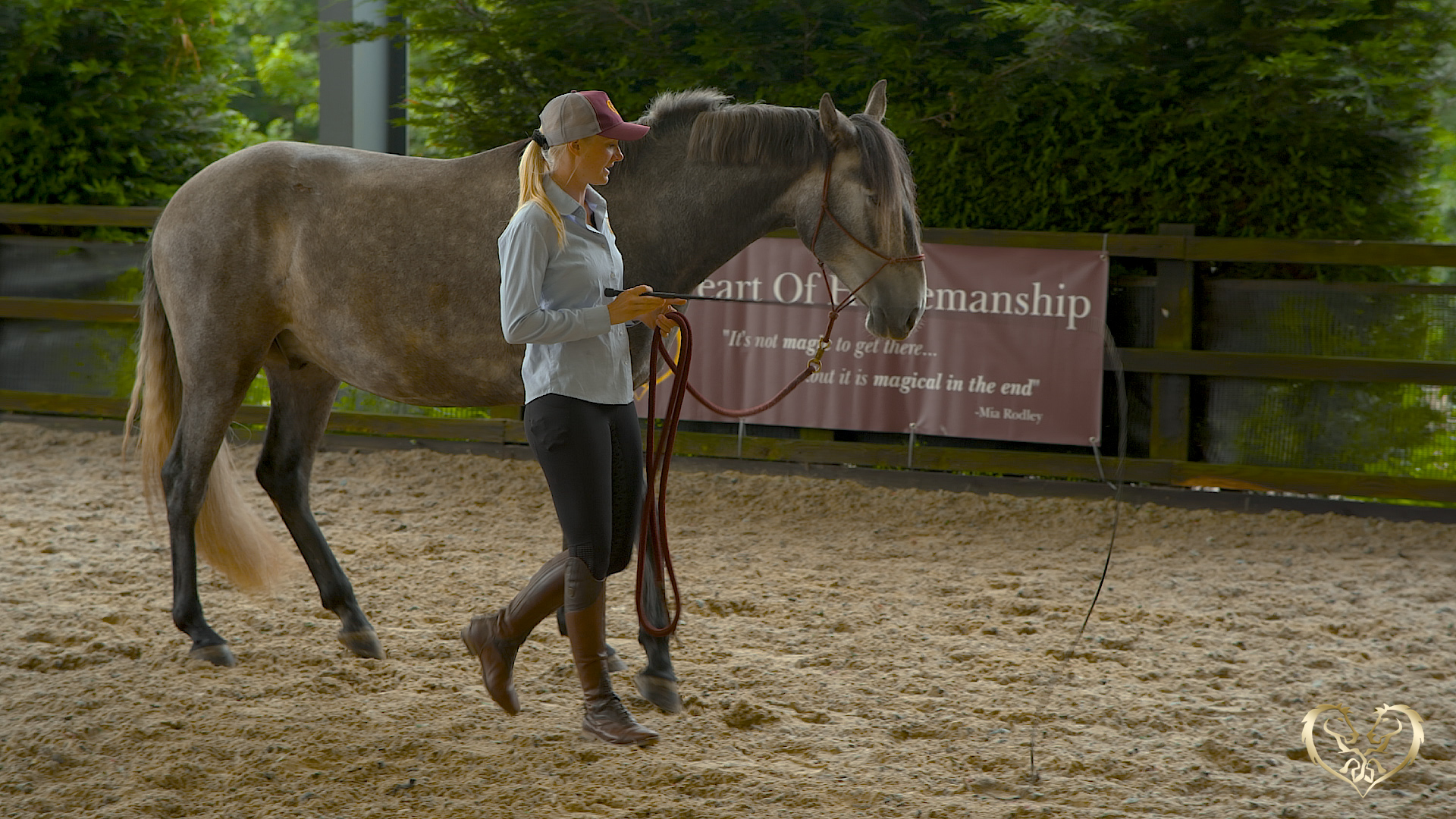 BACKING IN HARMONY VS BACKING YOUR HORSE OUT OF YOUR SPACE