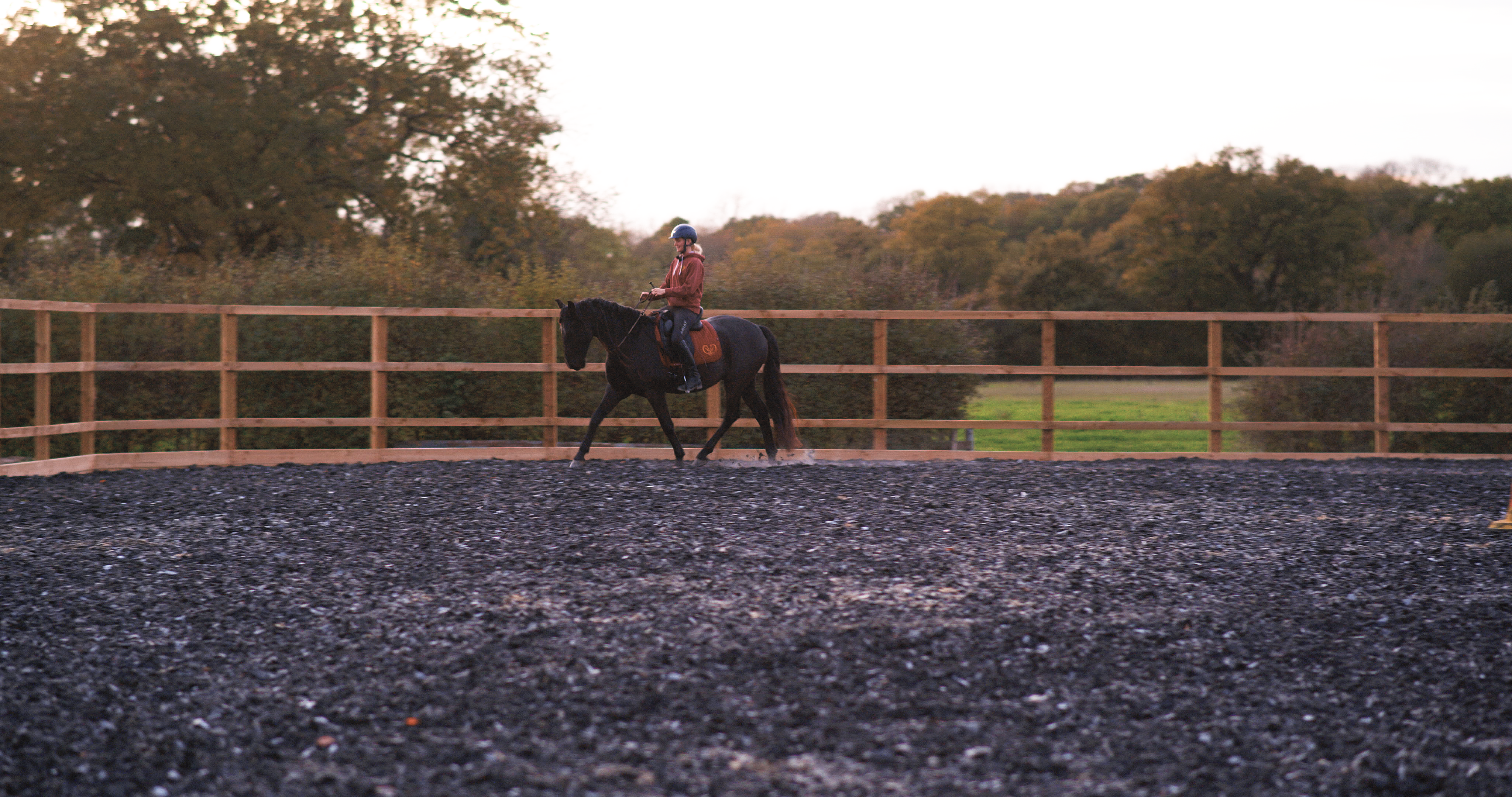 SCHOOLING FOR COLLECTION BRIDLELESS