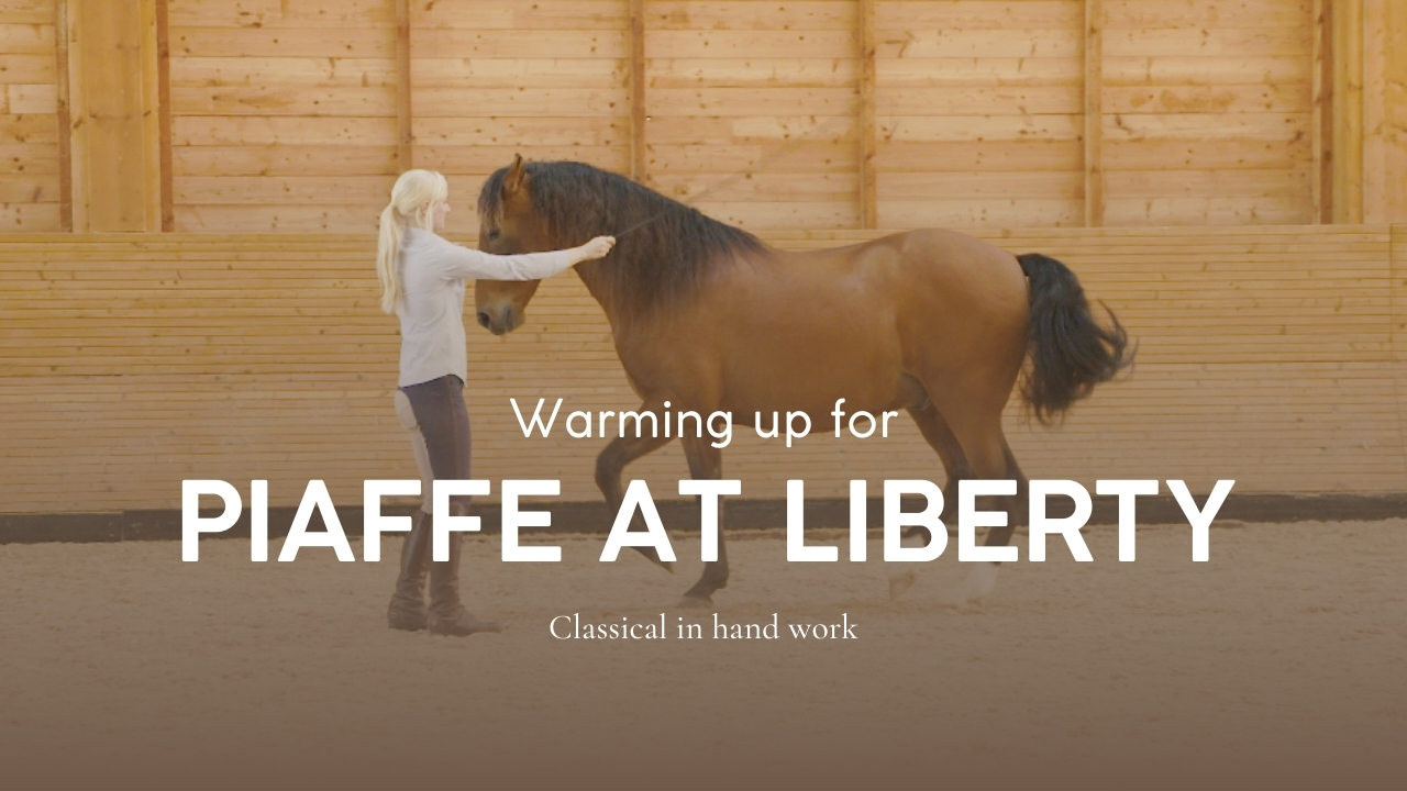 WARMING UP FOR PIAFFE AT LIBERTY