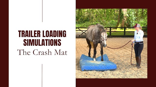Trailer Loading Simulations: The Cras...
