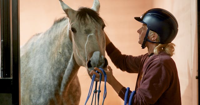 SHARING SPACE IN THE STABLE PT 1
