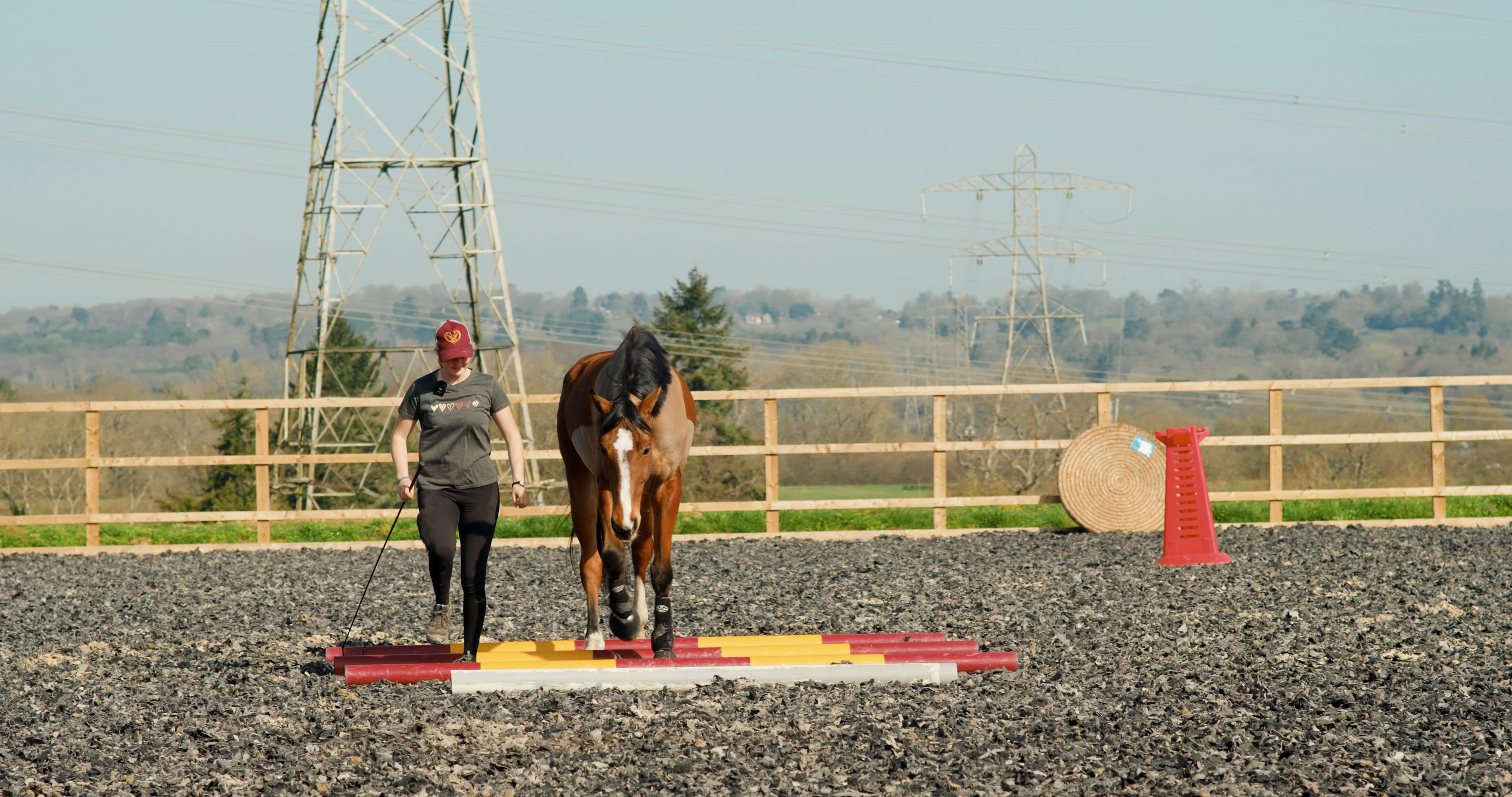 ENCOURAGING CURIOSITY IN AN ANXIOUS HORSE WITH POSITIVE REINFORCEMENT
