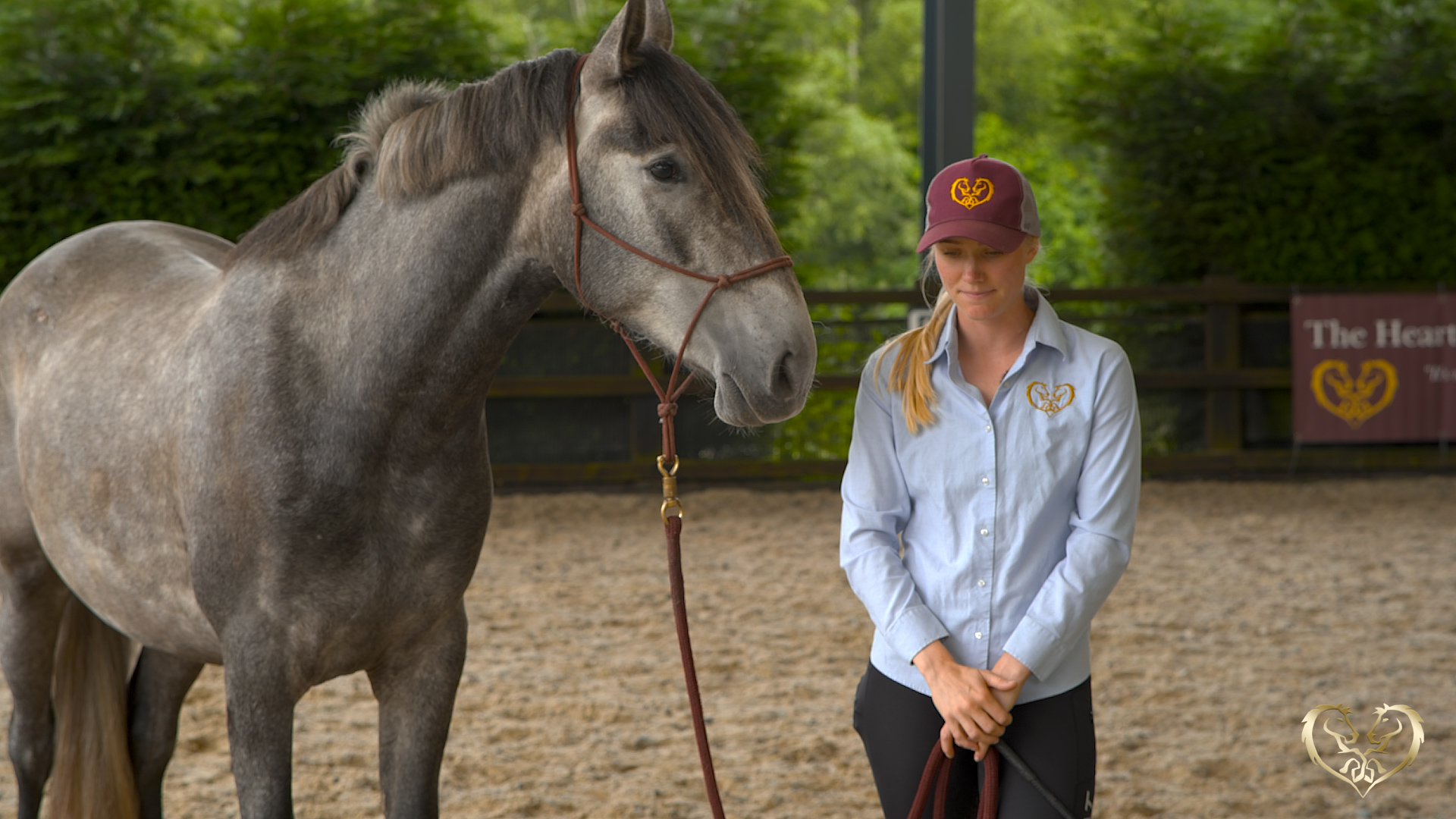 TIPS FOR TURNING YOUR ENERGY TO NEUTRAL OR OFF