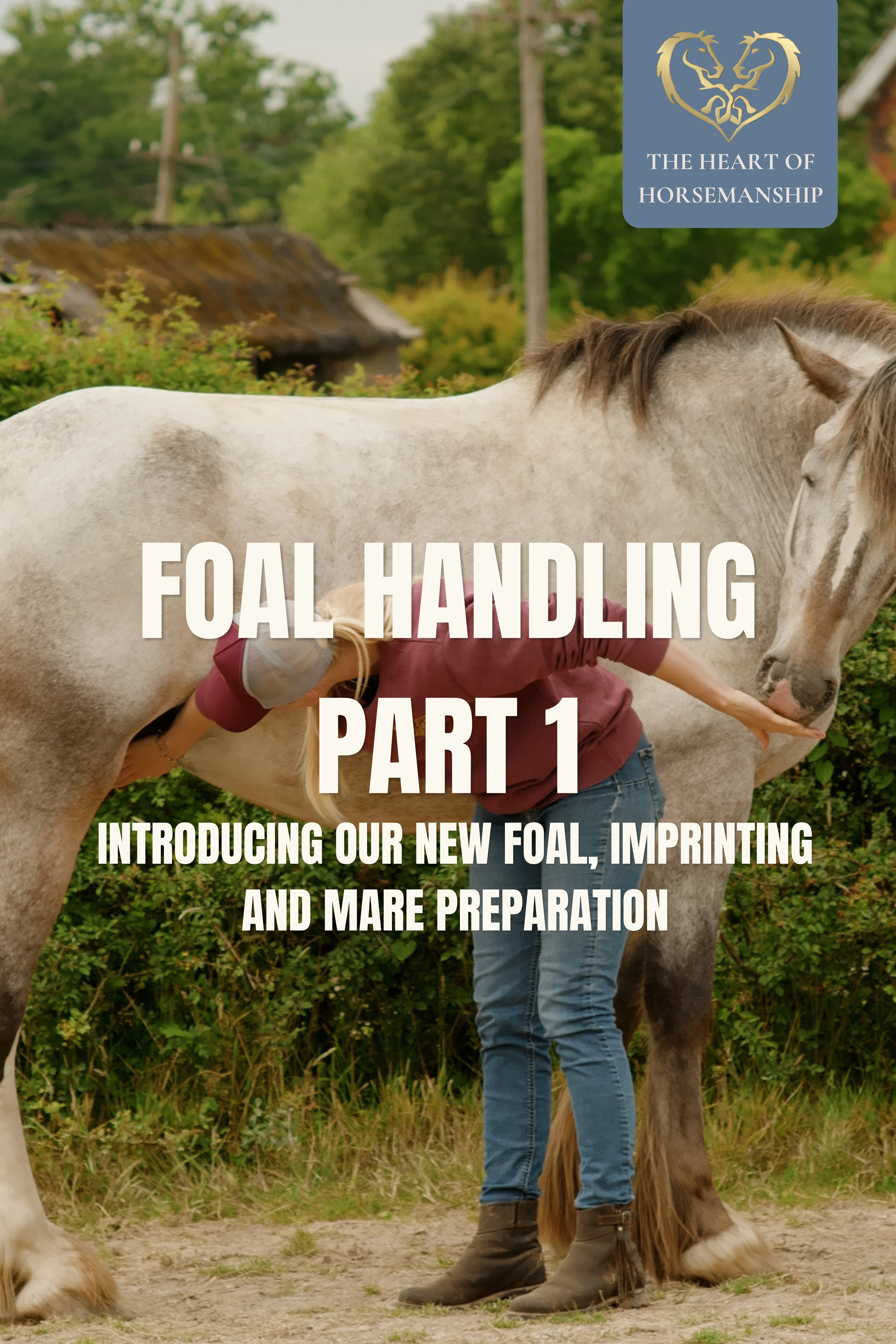 INTRODUCING OUR NEW FOAL, IMPRINTING AND MARE PREPARATION