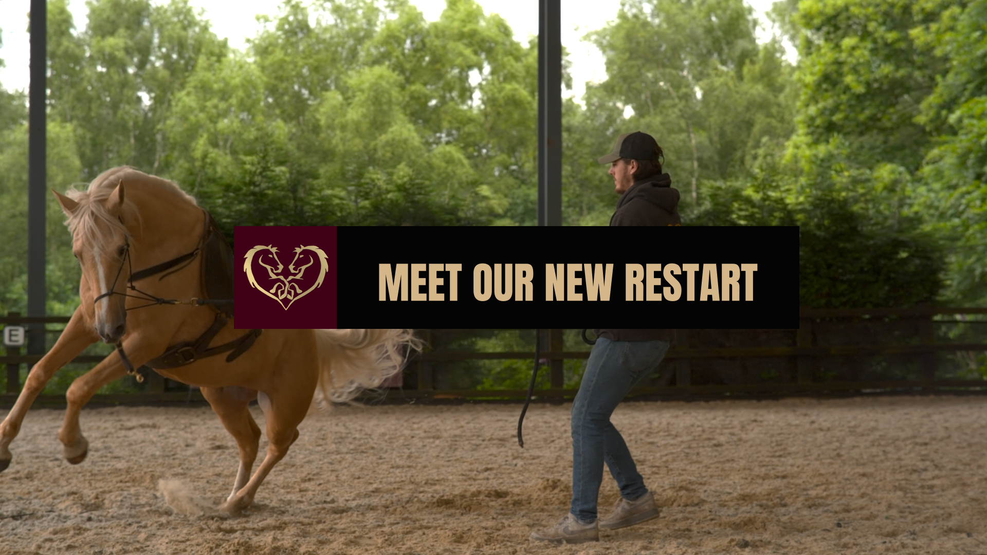 MEET OUR NEW RESTART