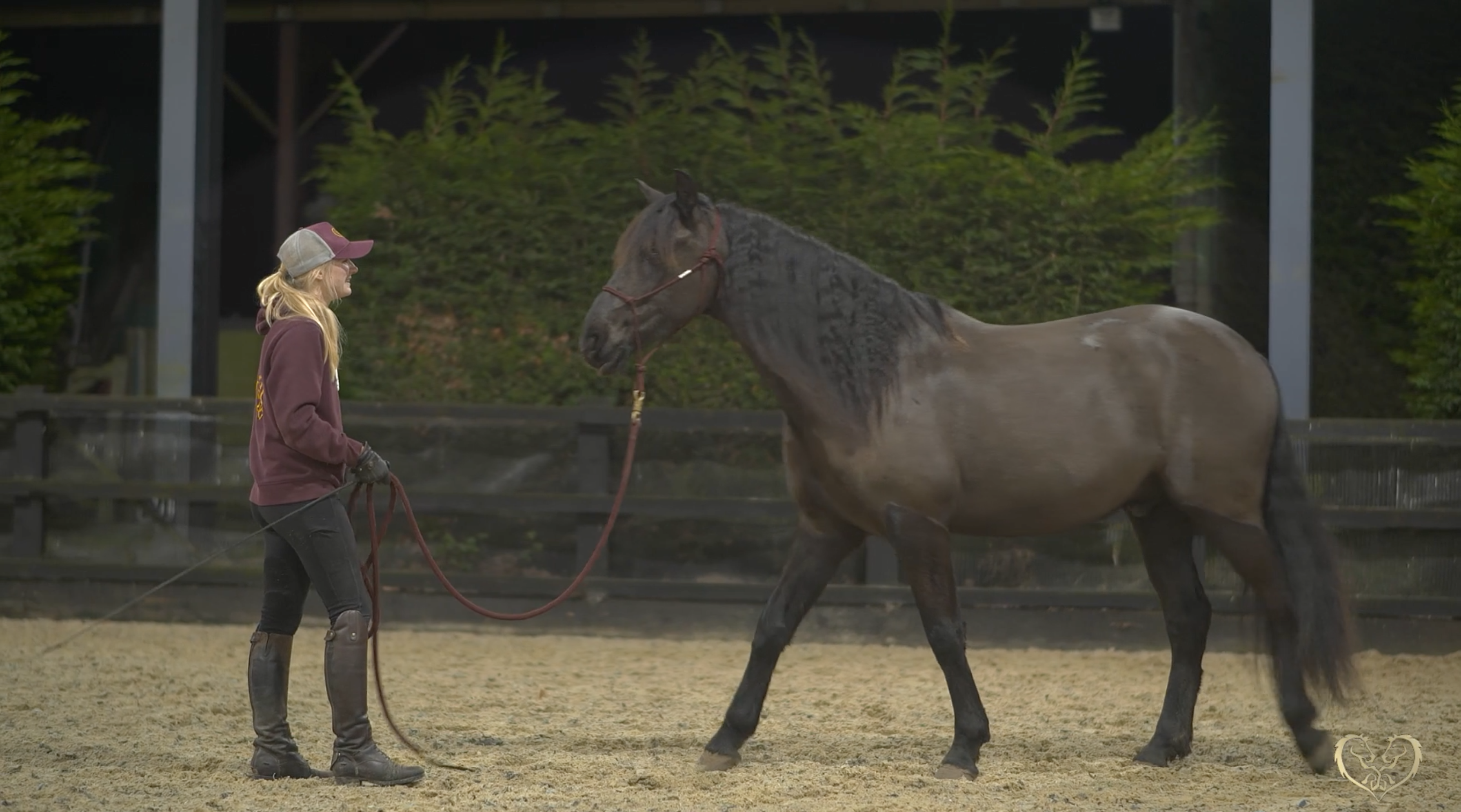 SIX YIELDS (FORWARDS & BACKWARDS)