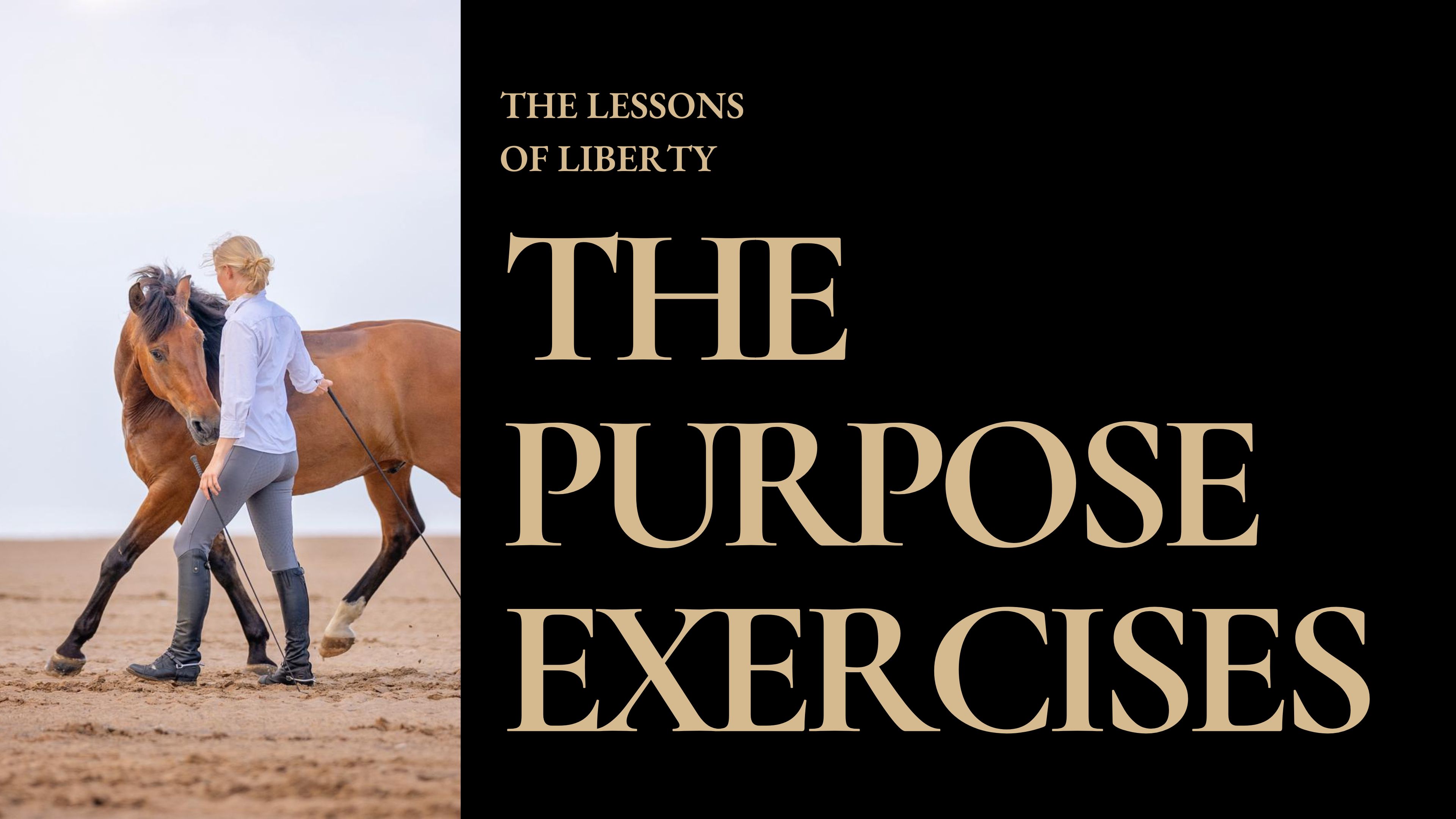 The Purpose Exercises