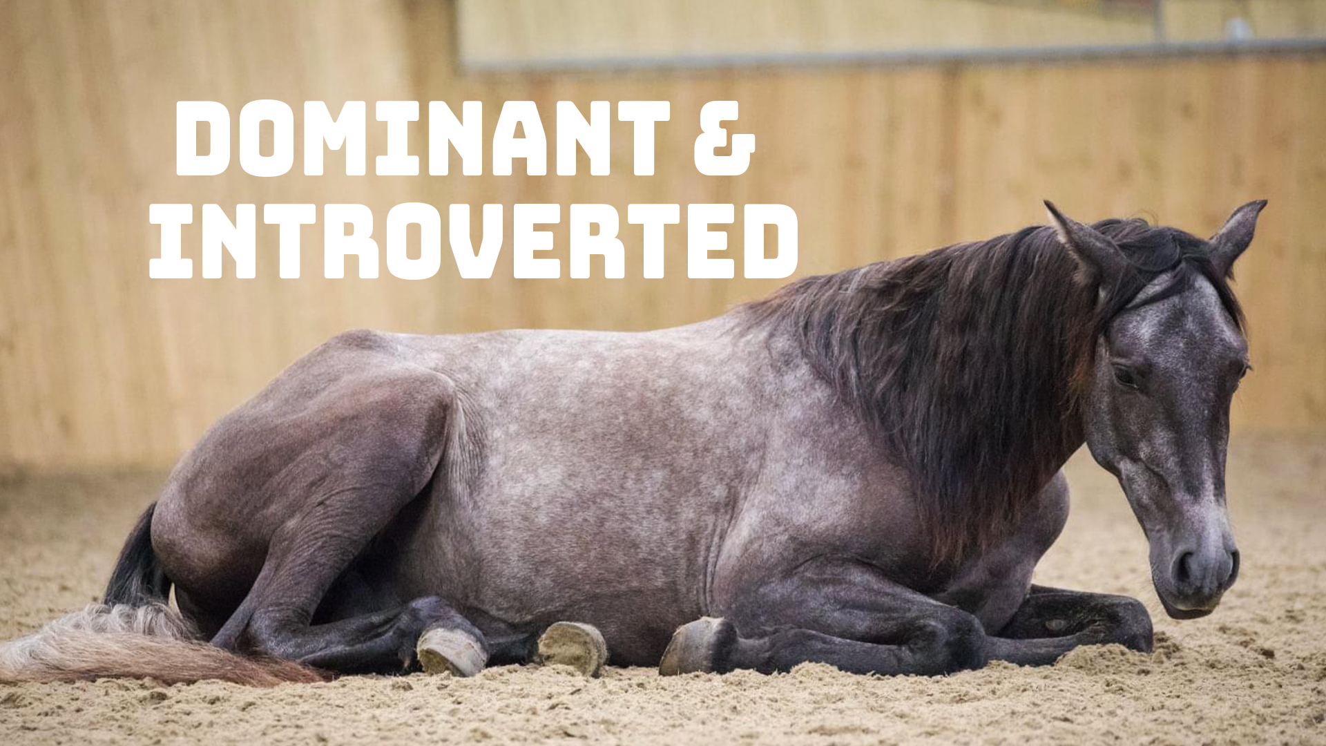 DOMINANT & INTROVERTED