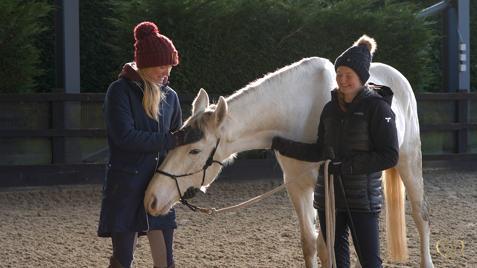 HOW TO WARM UP YOUR HORSE FOR LIBERTY