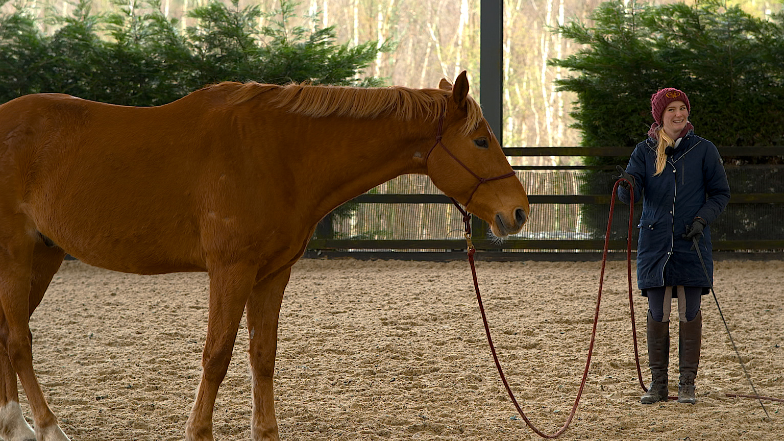 TRANSITIONS ON A CIRCLE