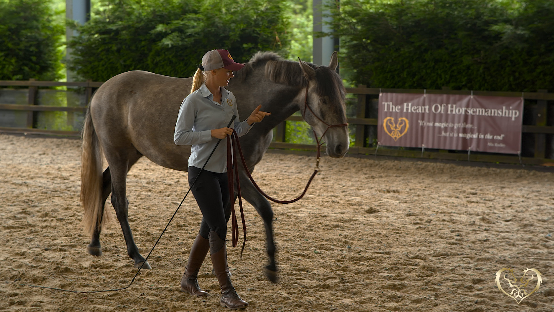 LEADING YOUR HORSE FOR LIBERTY