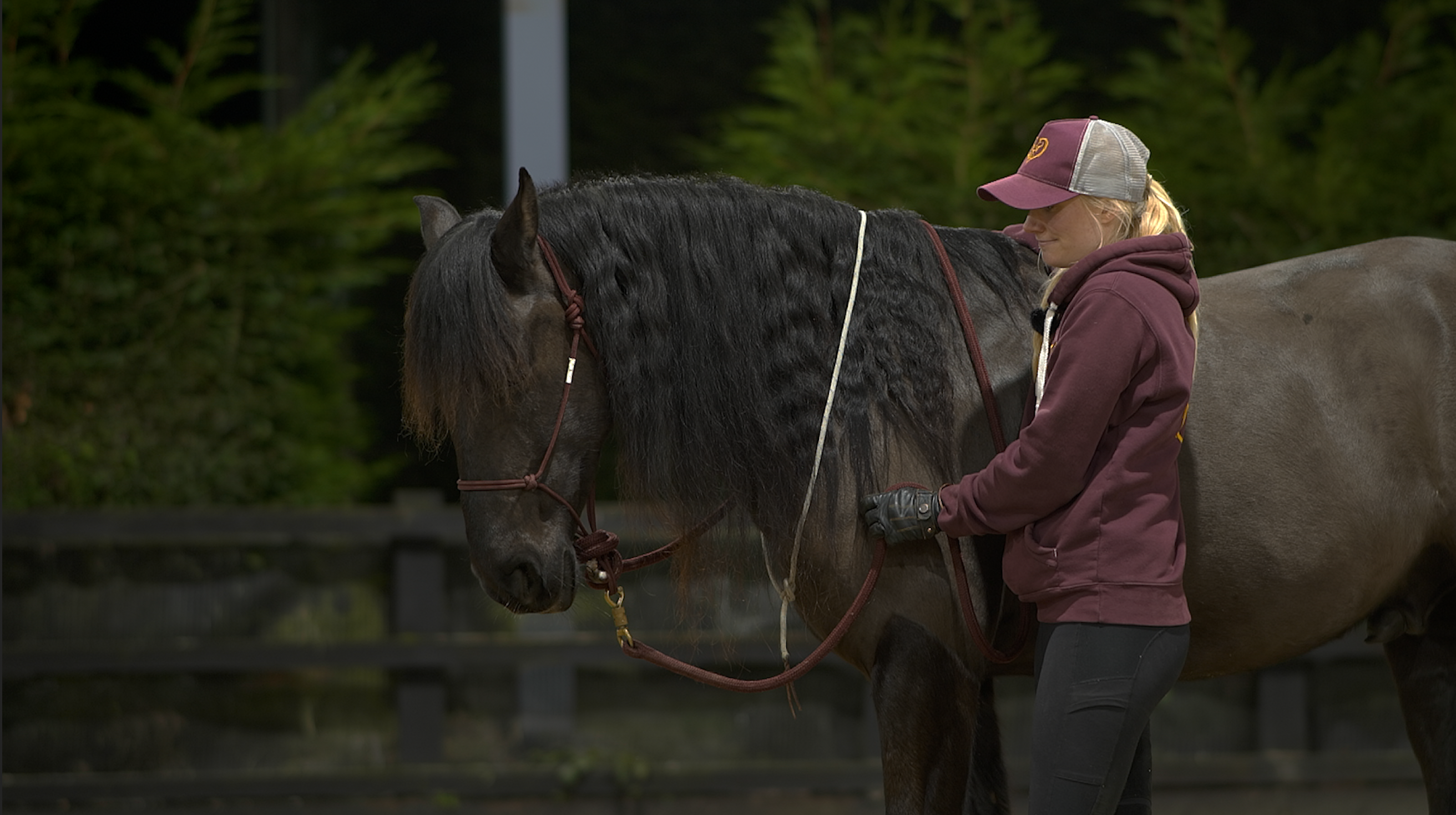 HOW TO ASK FOR A FRAME WITH A NECKROPE