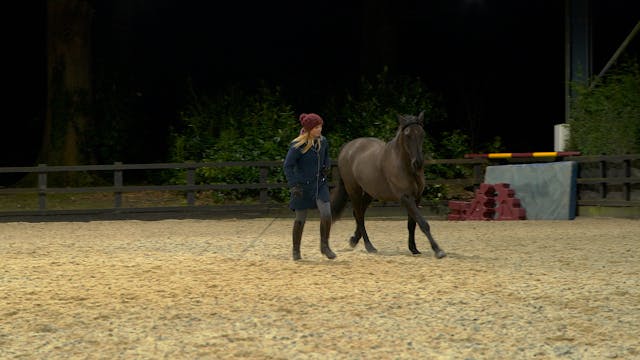 HOW TO TEACH CANTER CLOSE RANGE CIRCLES