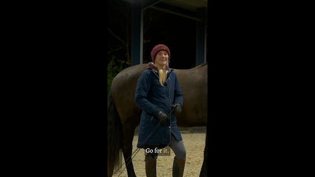 IMPROVE YOUR HORSE'S BACK UP