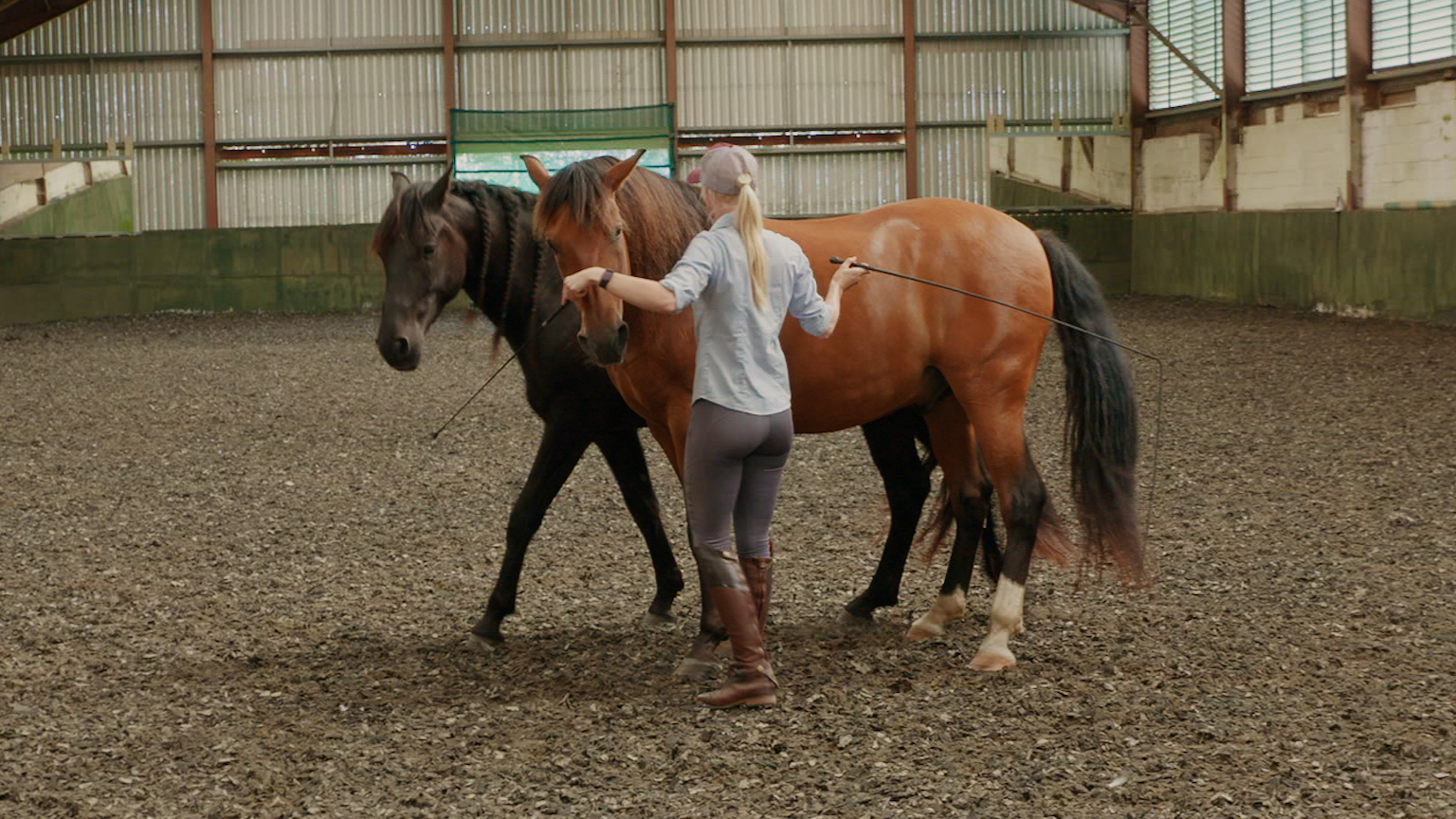 ALTERNATING CIRCLES WITH LIBERTY PAIRS