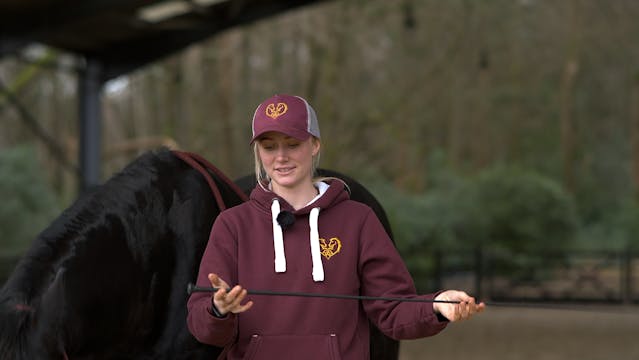SCHOOLING WHIP