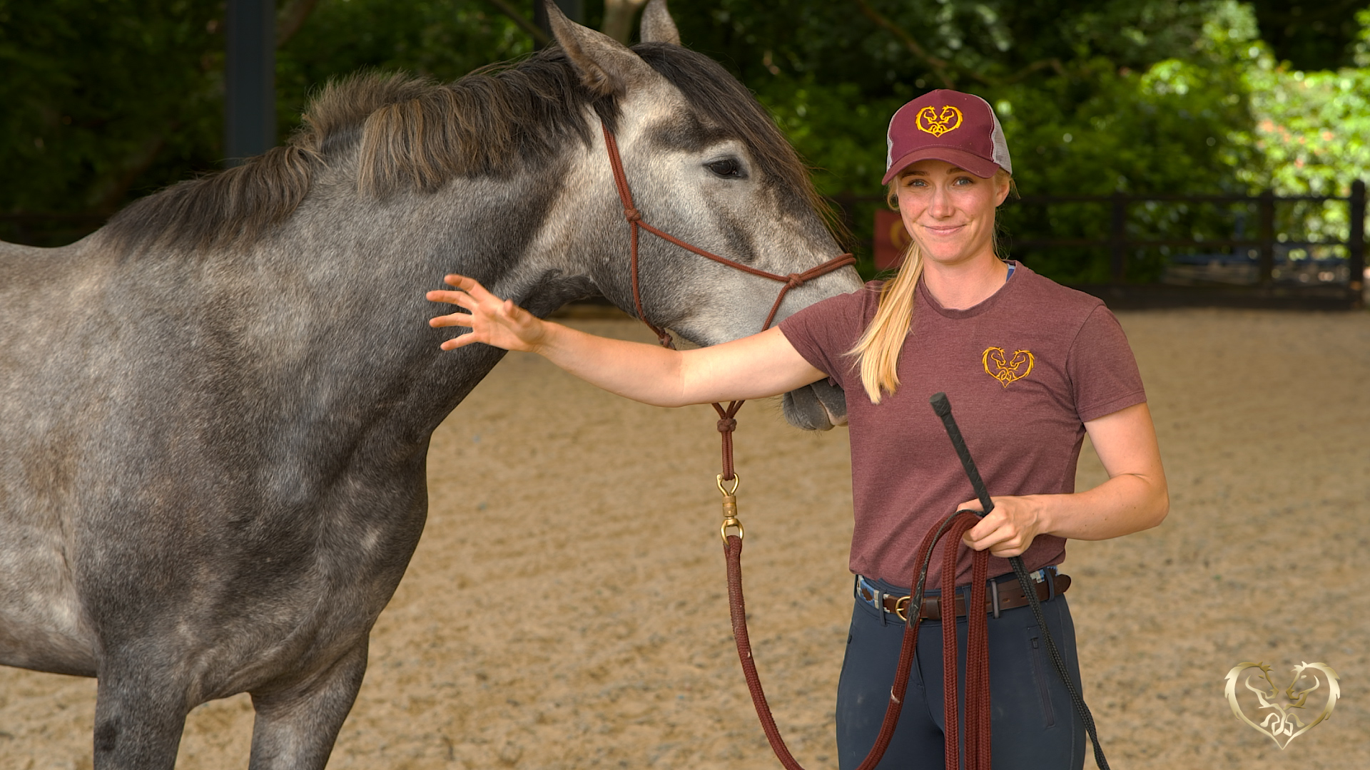 WHY IT'S IMPORTANT HORSES UNDERSTAND STEADY PRESSURE