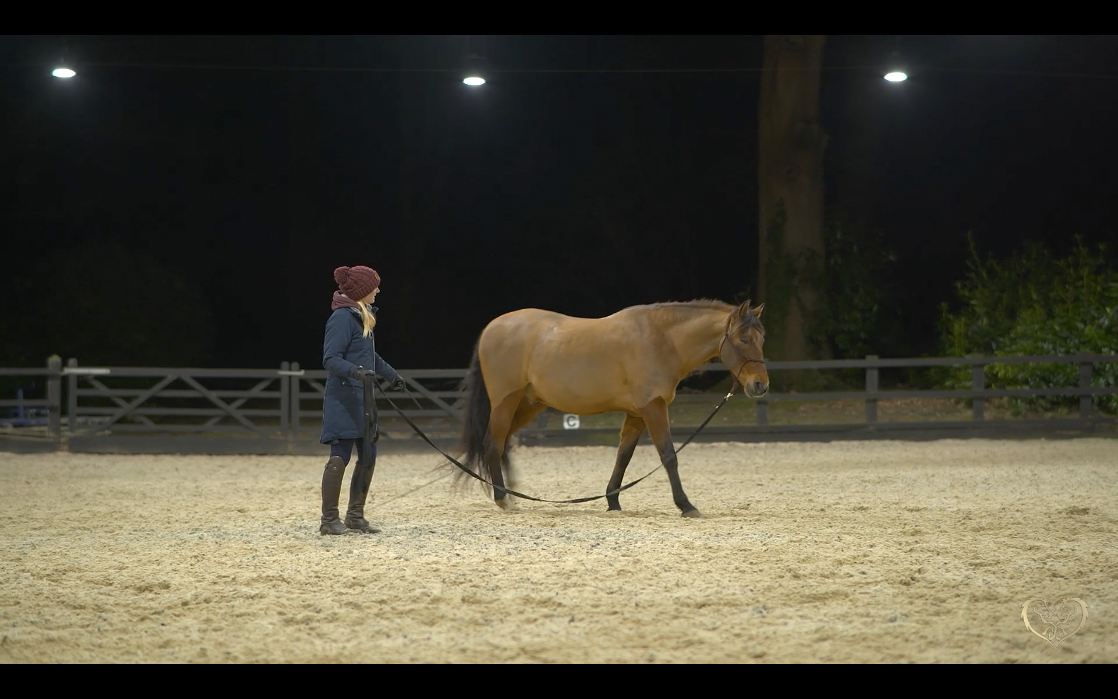 CONSCIOUS RELAXATION WITH AN ADVANCED HORSE