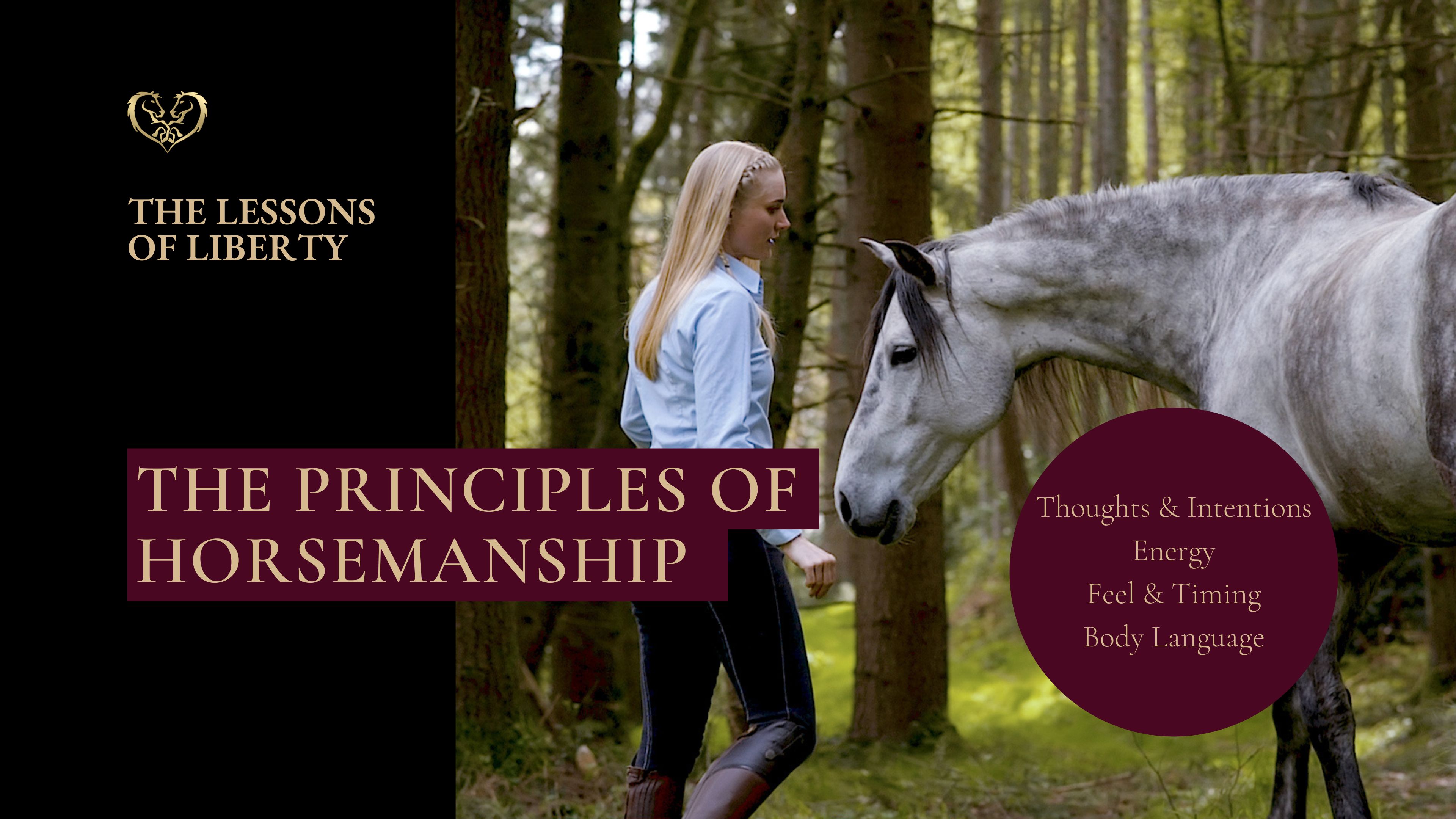 The Principles Of Horsemanship