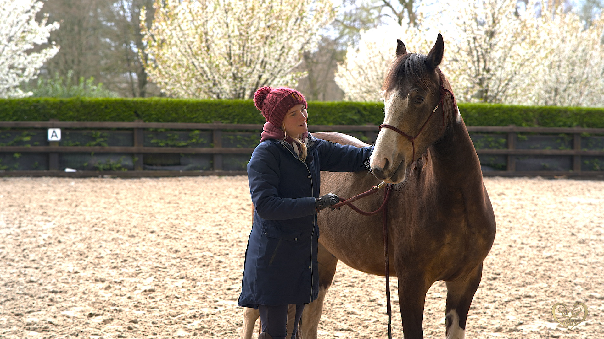 TEACHING A YOUNG HORSE HOW TO FOLLOW A FEEL
