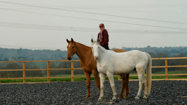 BUILDING A RIDDEN LIBERTY PAIR