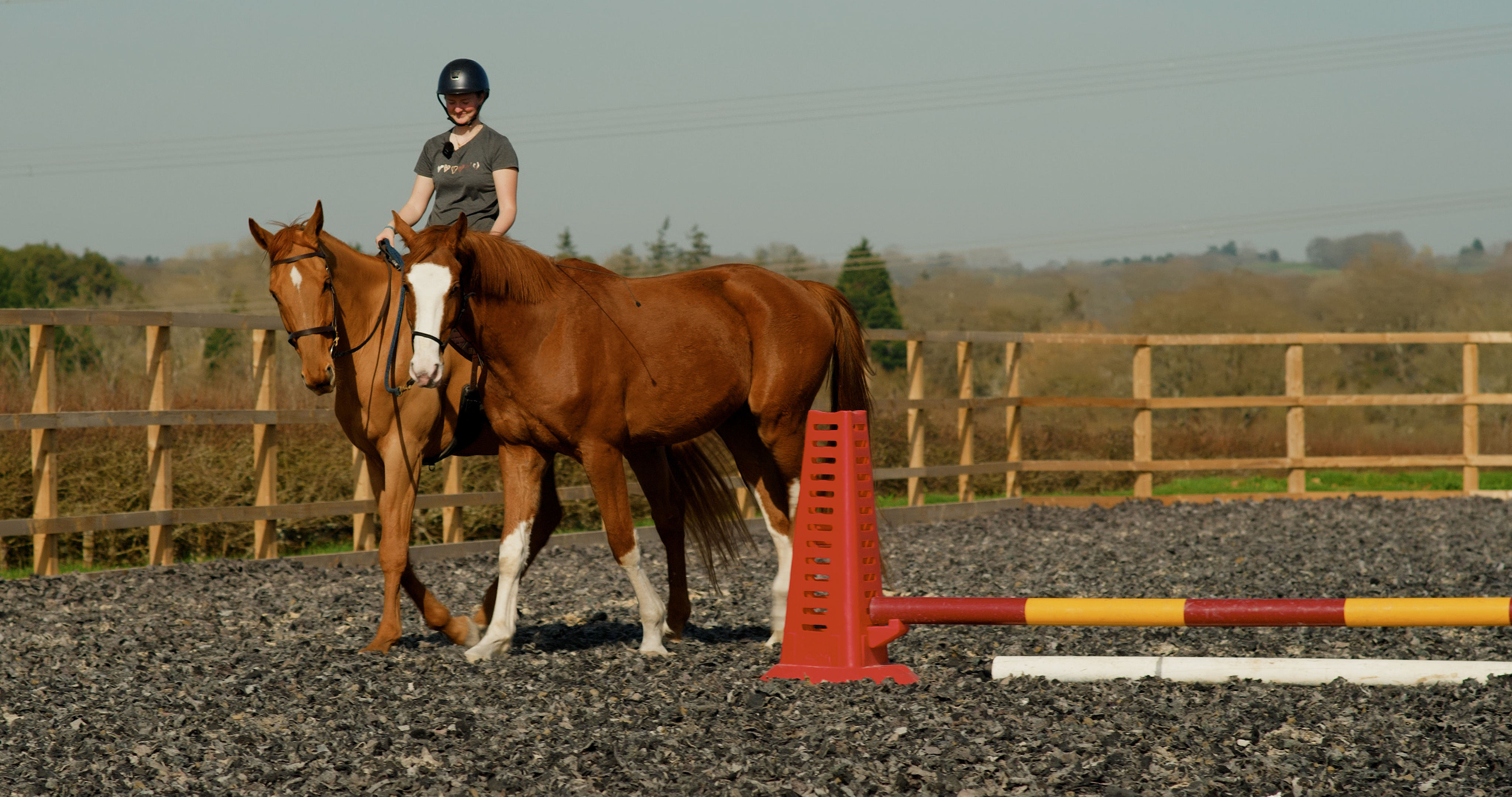 FIRST TIME PONYING A YOUNG HORSE
